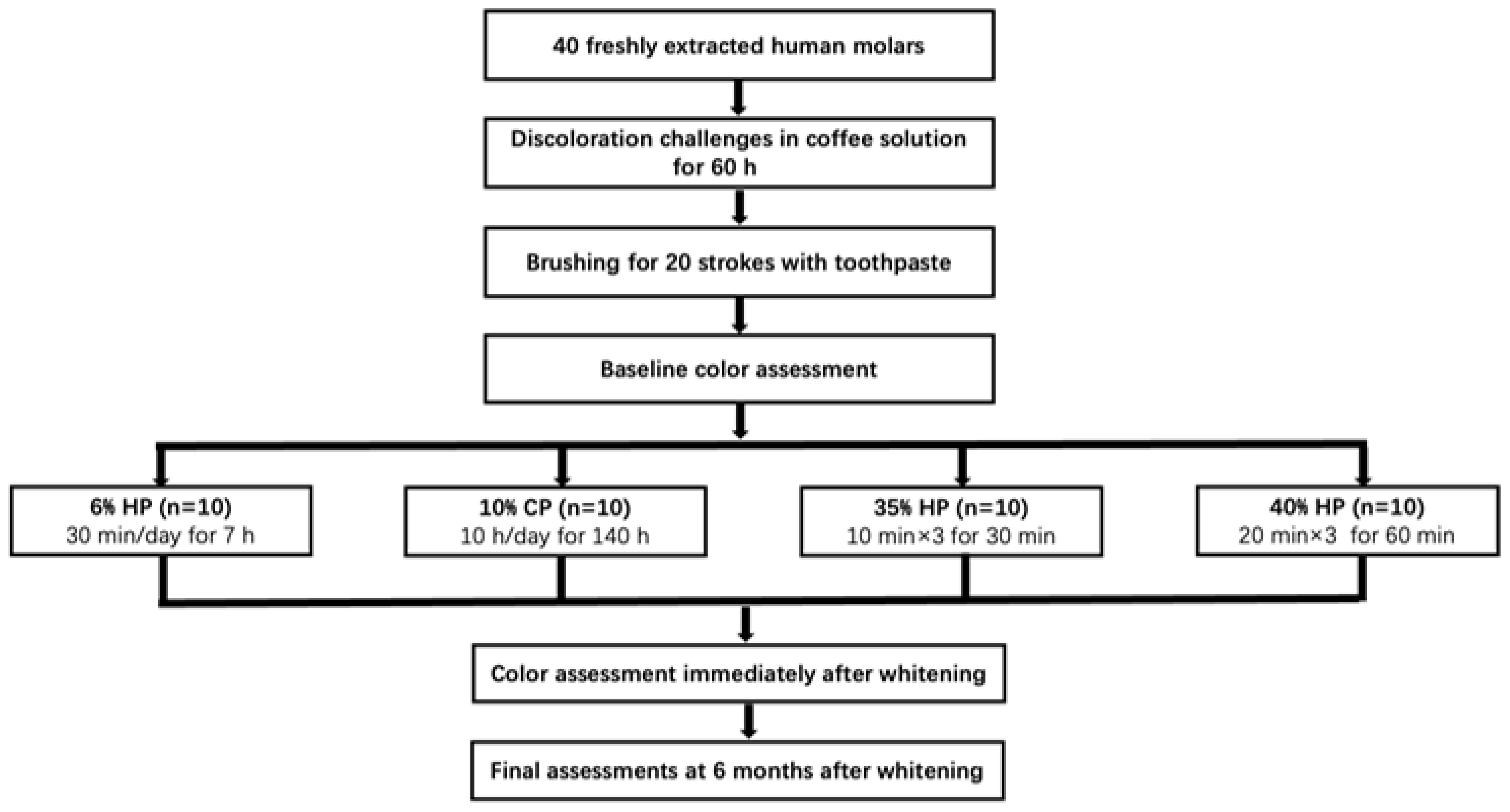 Medicina 59 01130 g001