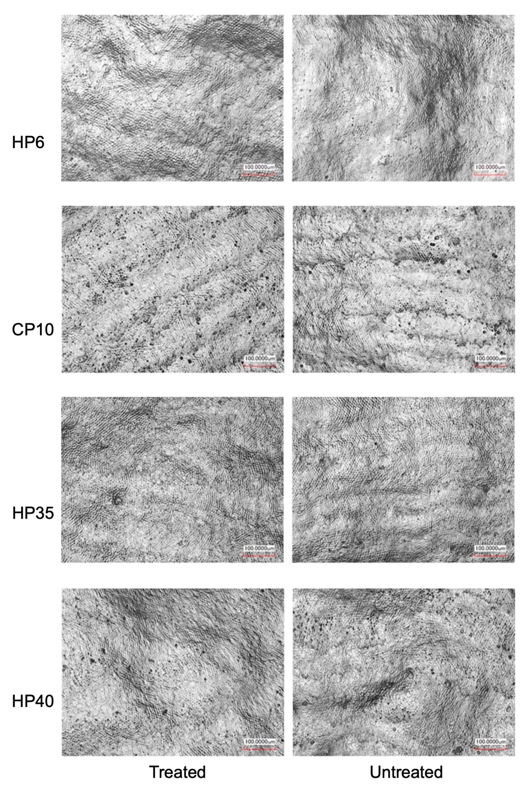 Medicina 59 01130 g003