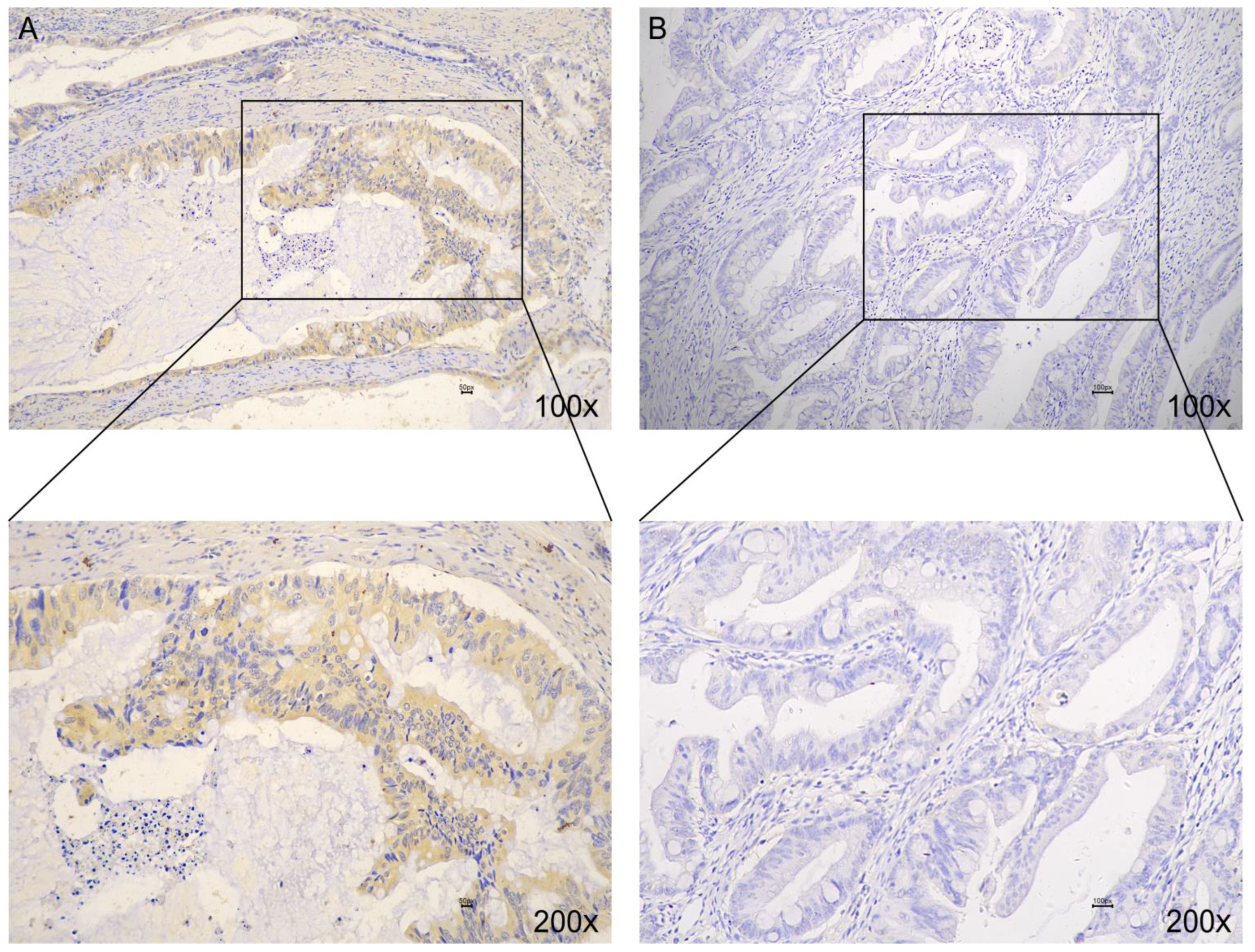 Medicina 59 01133 g004
