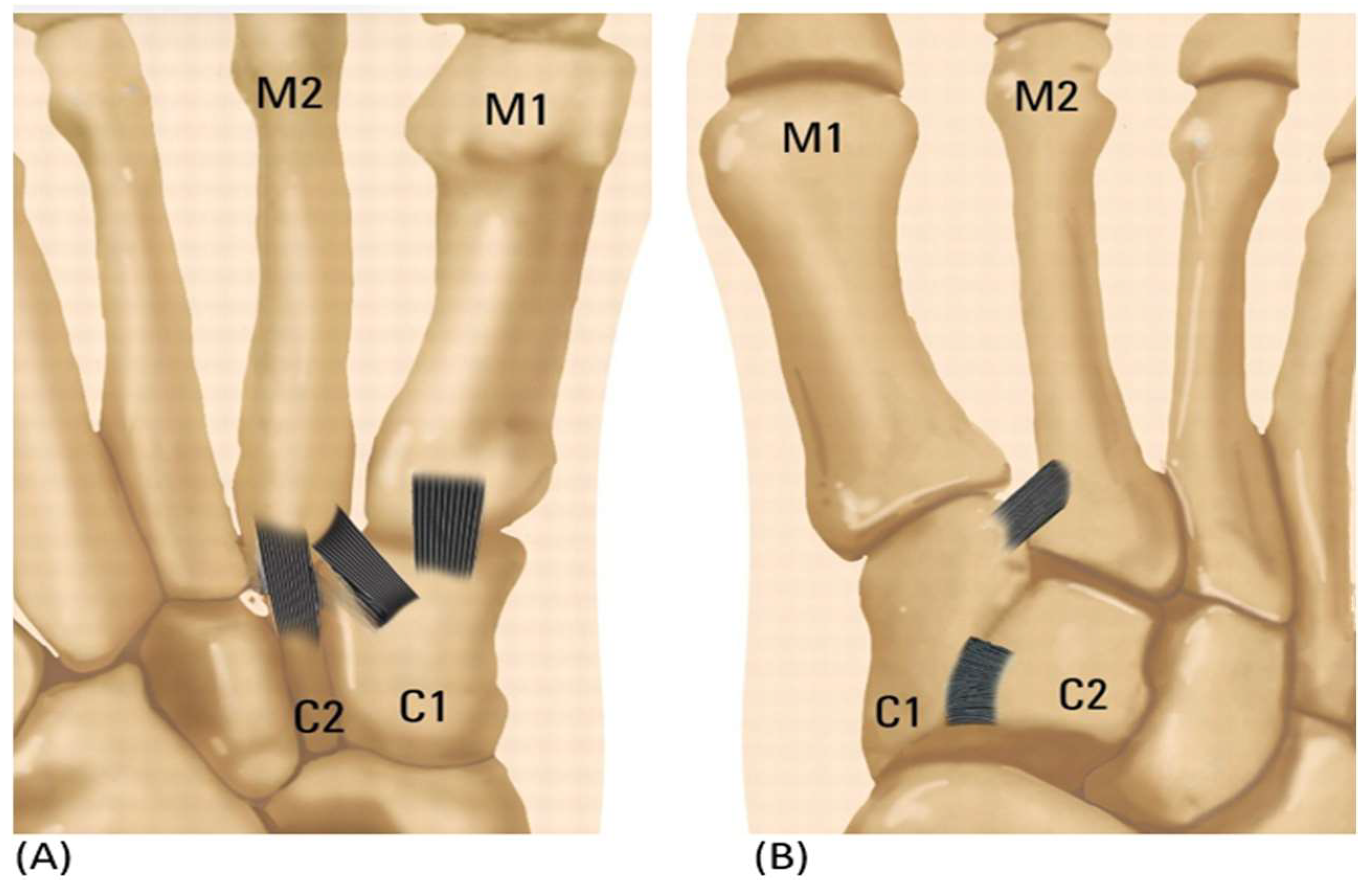 Medicina 59 01134 g002 Medicina 59 01134 g002