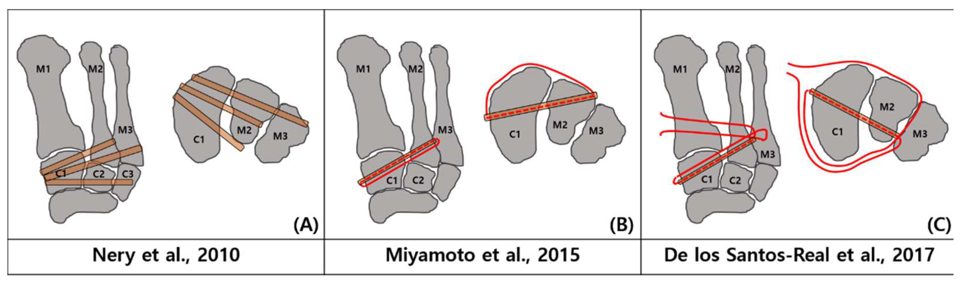 Medicina 59 01134 g008 Medicina 59 01134 g008