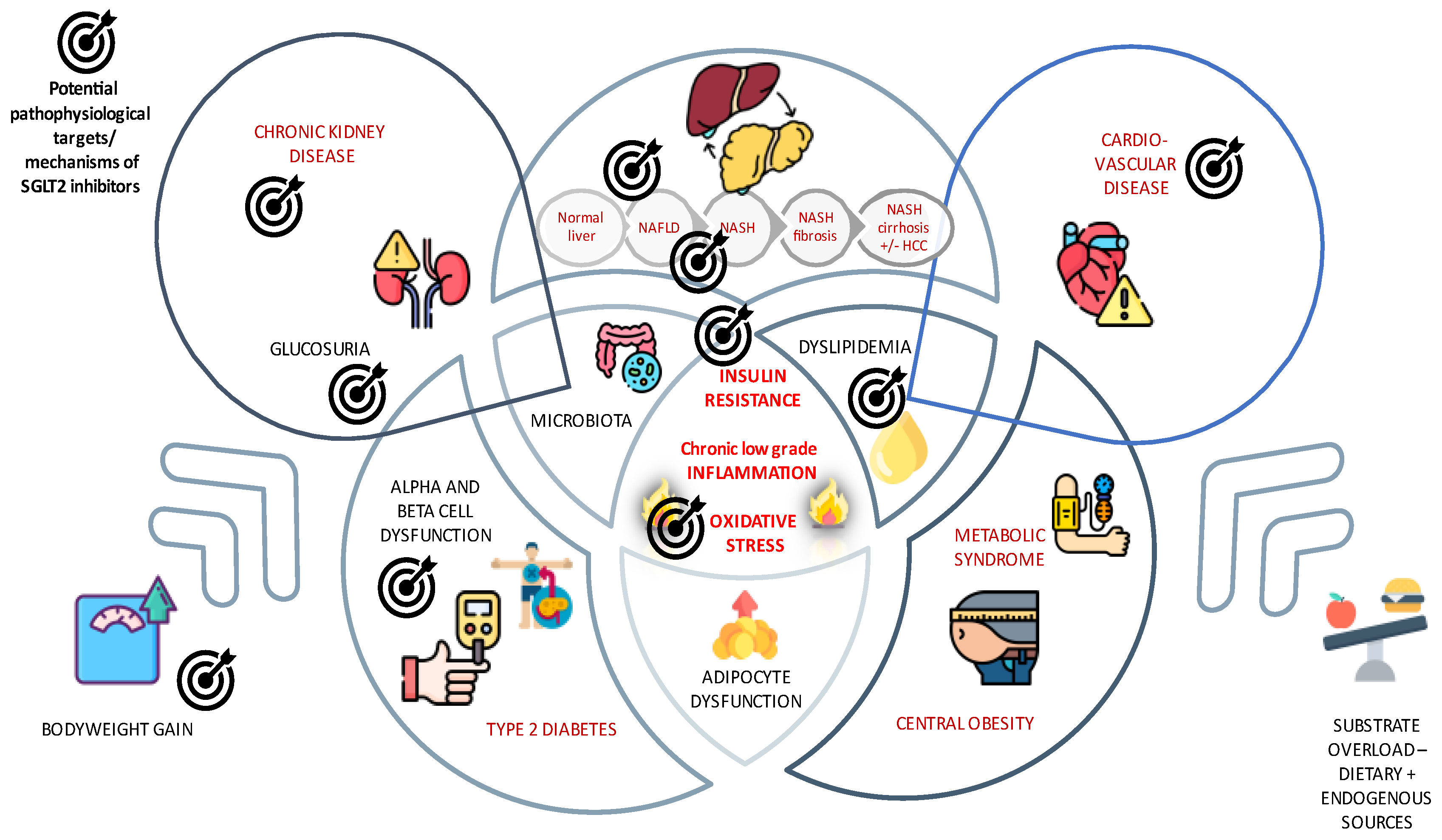 Medicina 59 01136 g001