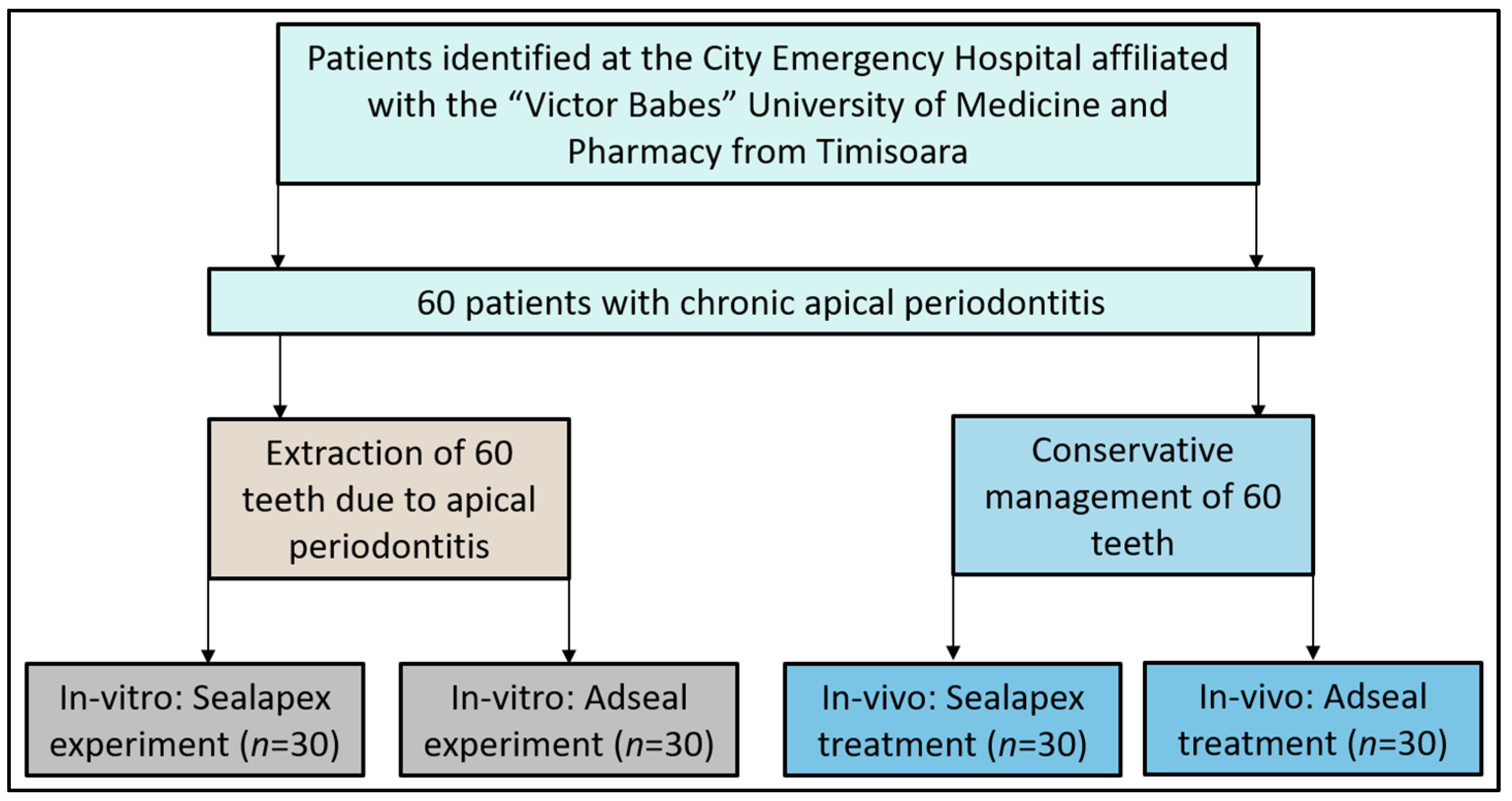 Medicina 59 01137 g001
