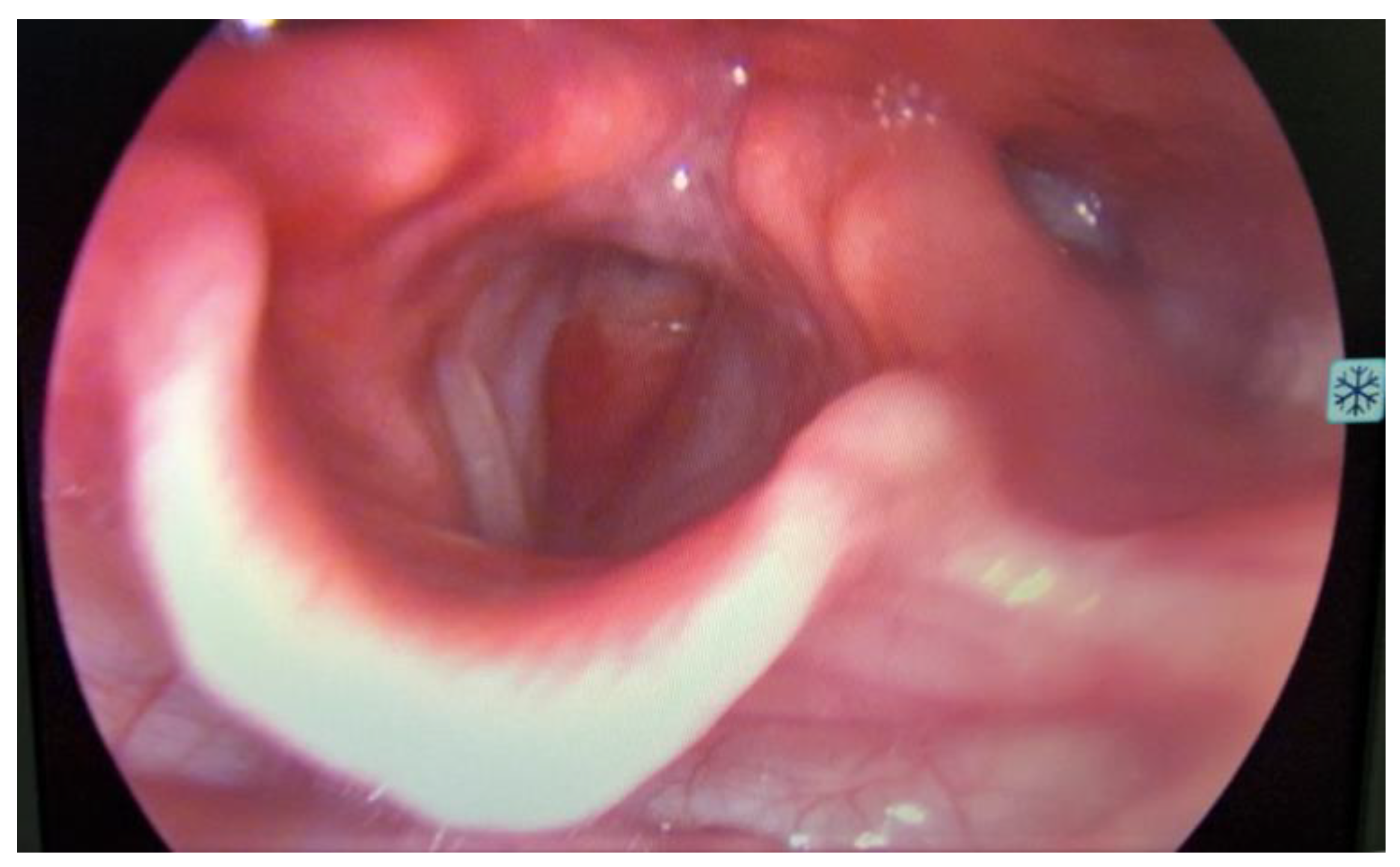 Medicina 59 01140 g001