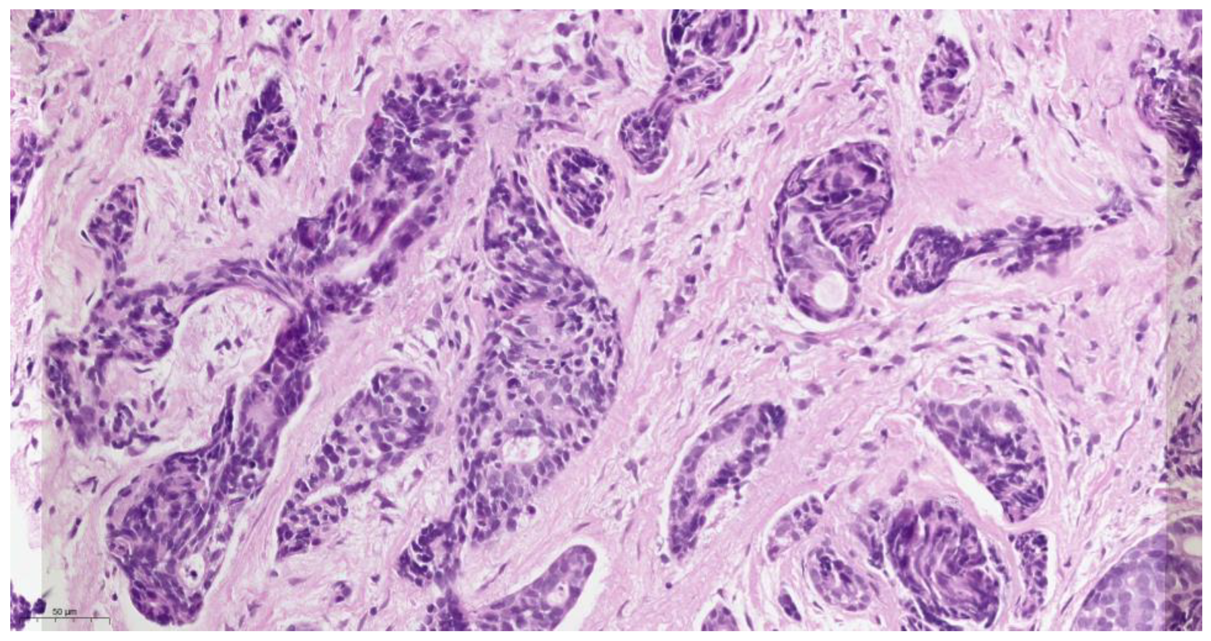 Medicina 59 01140 g003