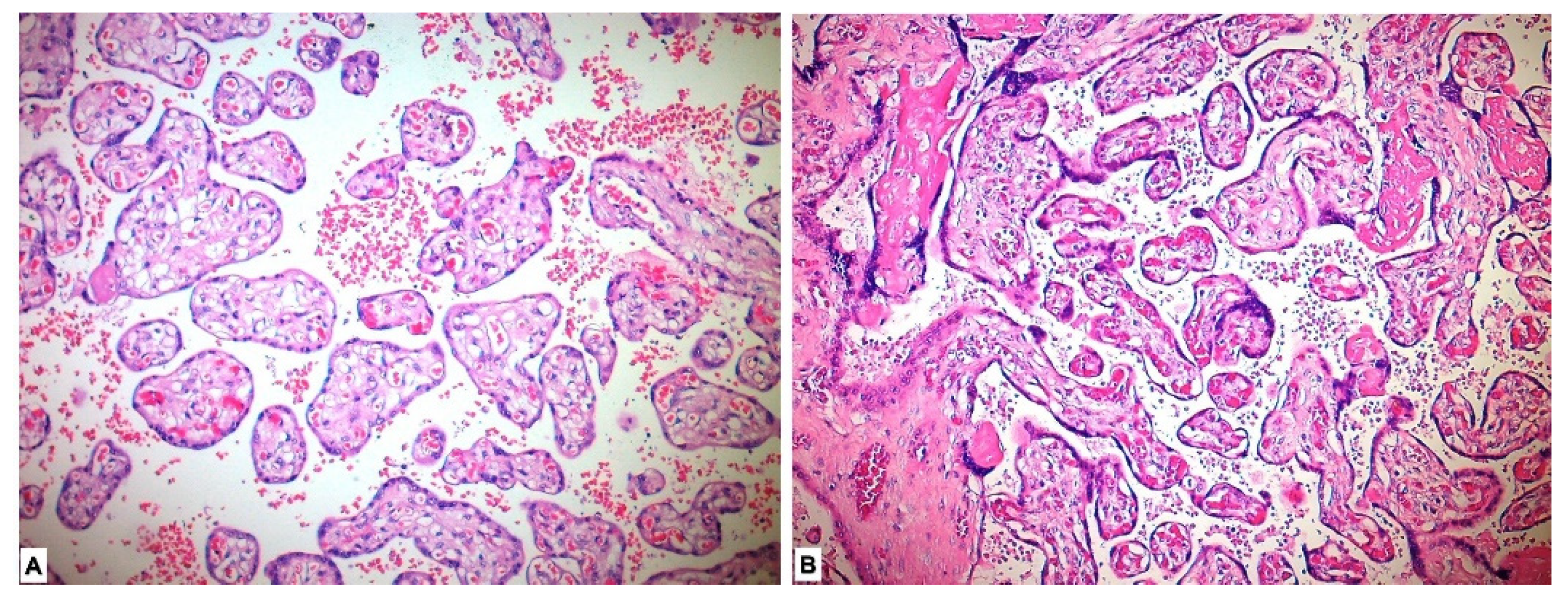 Medicina 59 01145 g001