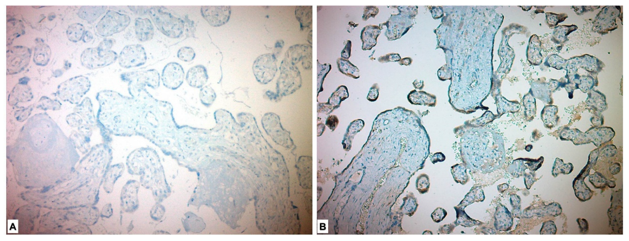 Medicina 59 01145 g002