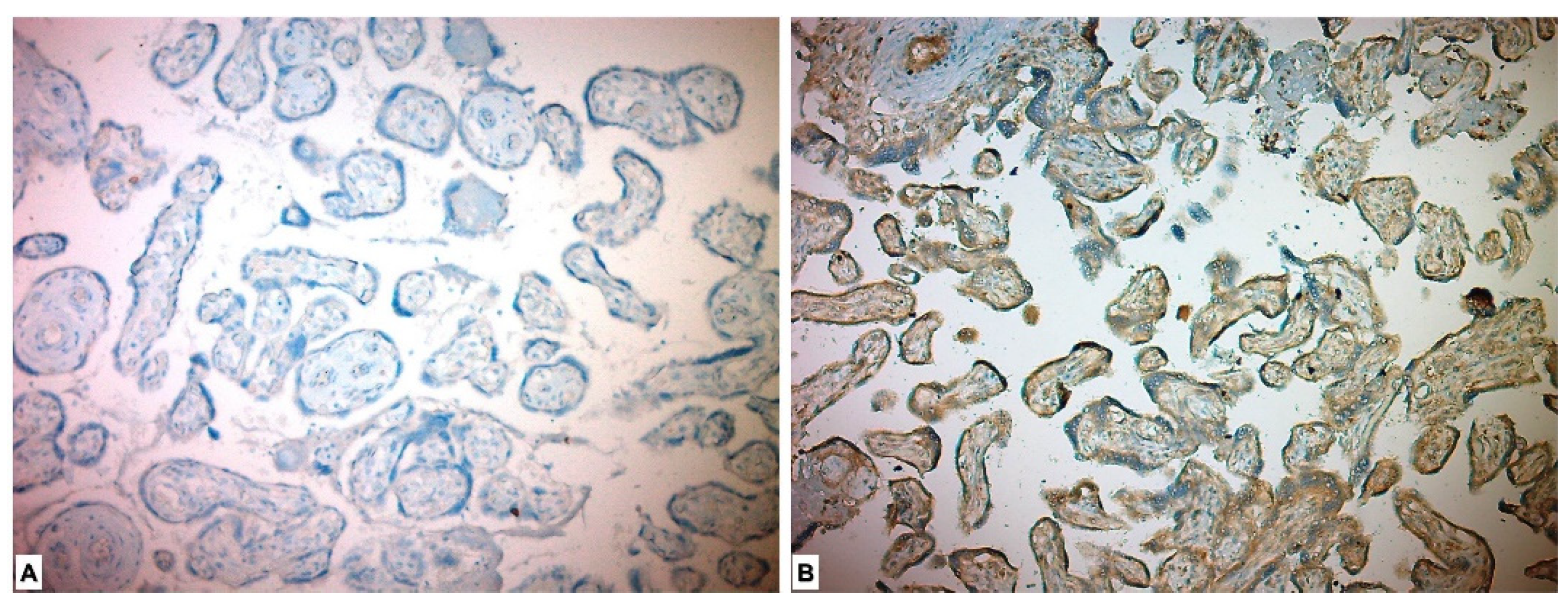 Medicina 59 01145 g003