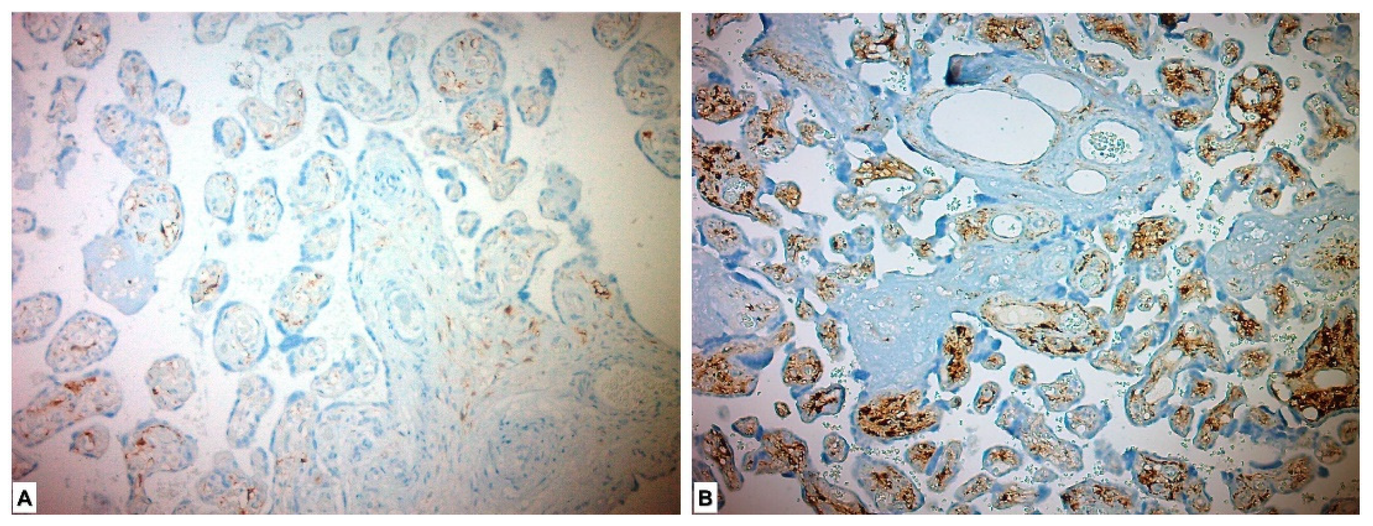Medicina 59 01145 g004
