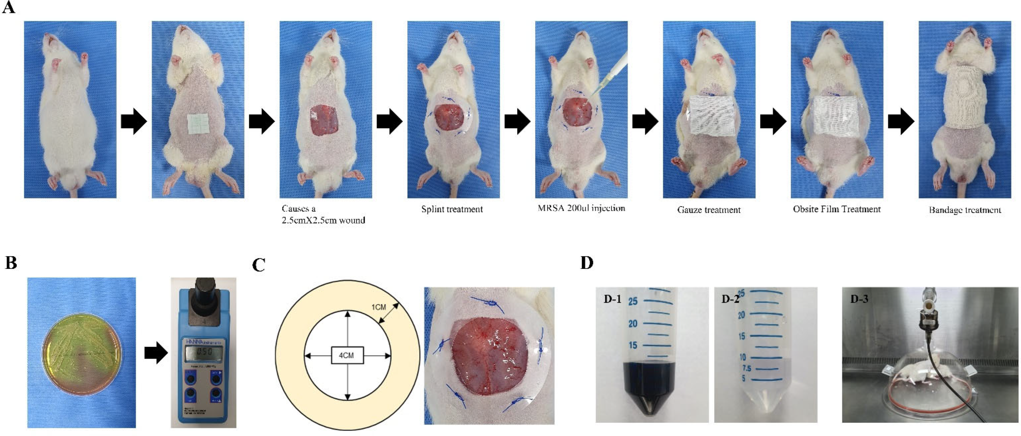 Medicina 59 01155 g002 Medicina 59 01155 g002
