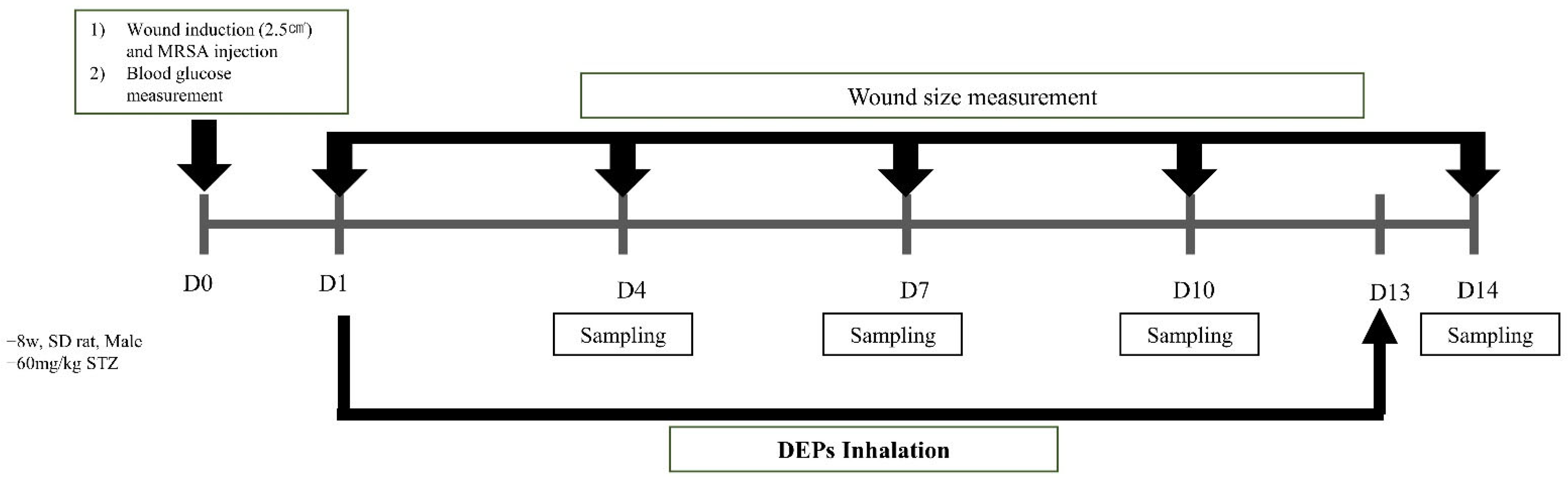 Medicina 59 01155 g003 Medicina 59 01155 g003
