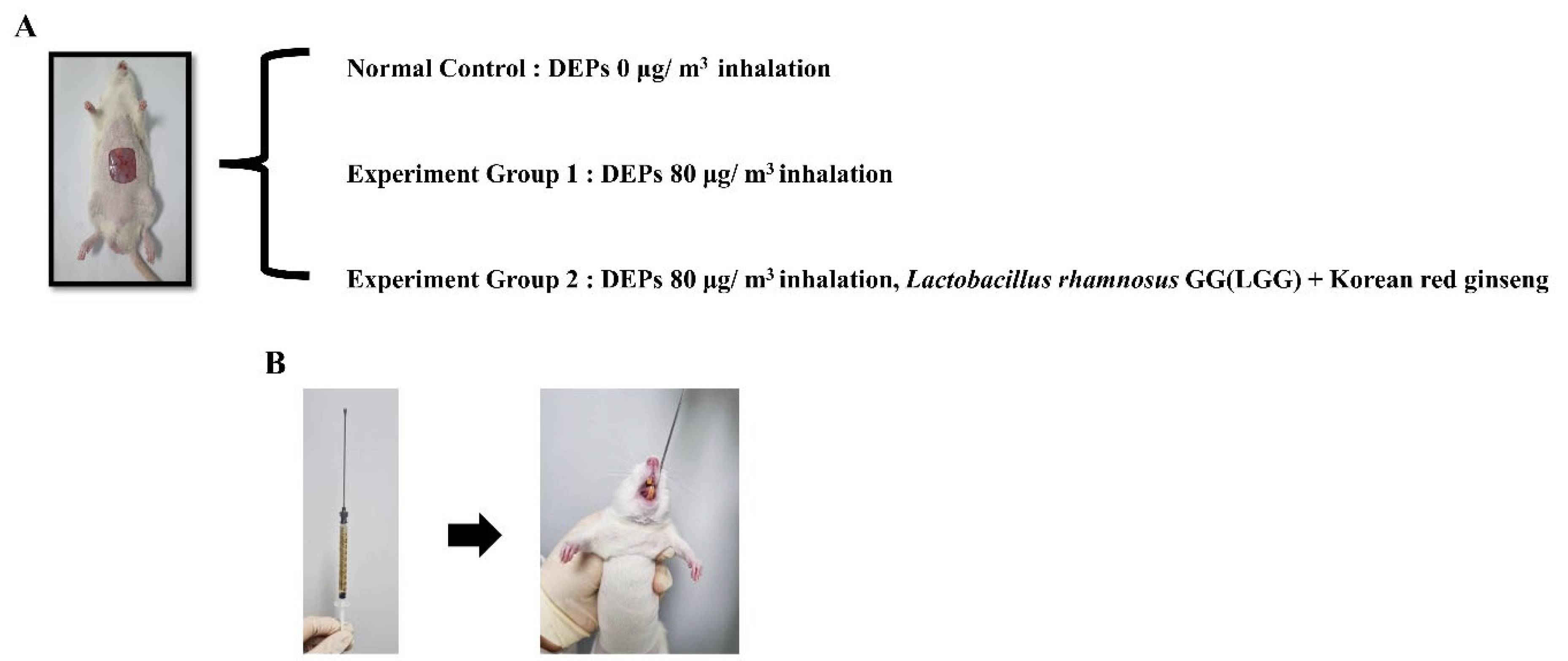 Medicina 59 01155 g004 Medicina 59 01155 g004