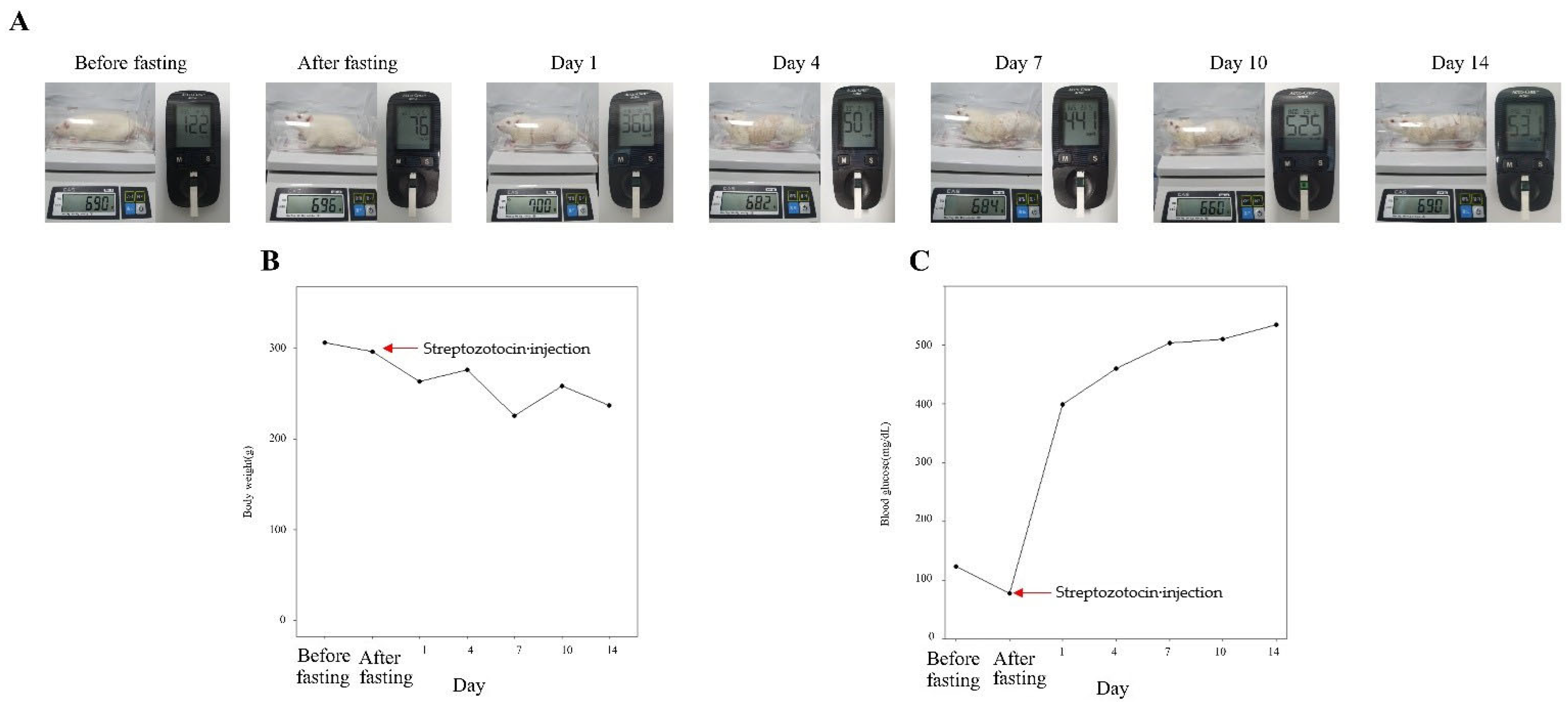 Medicina 59 01155 g005 Medicina 59 01155 g005