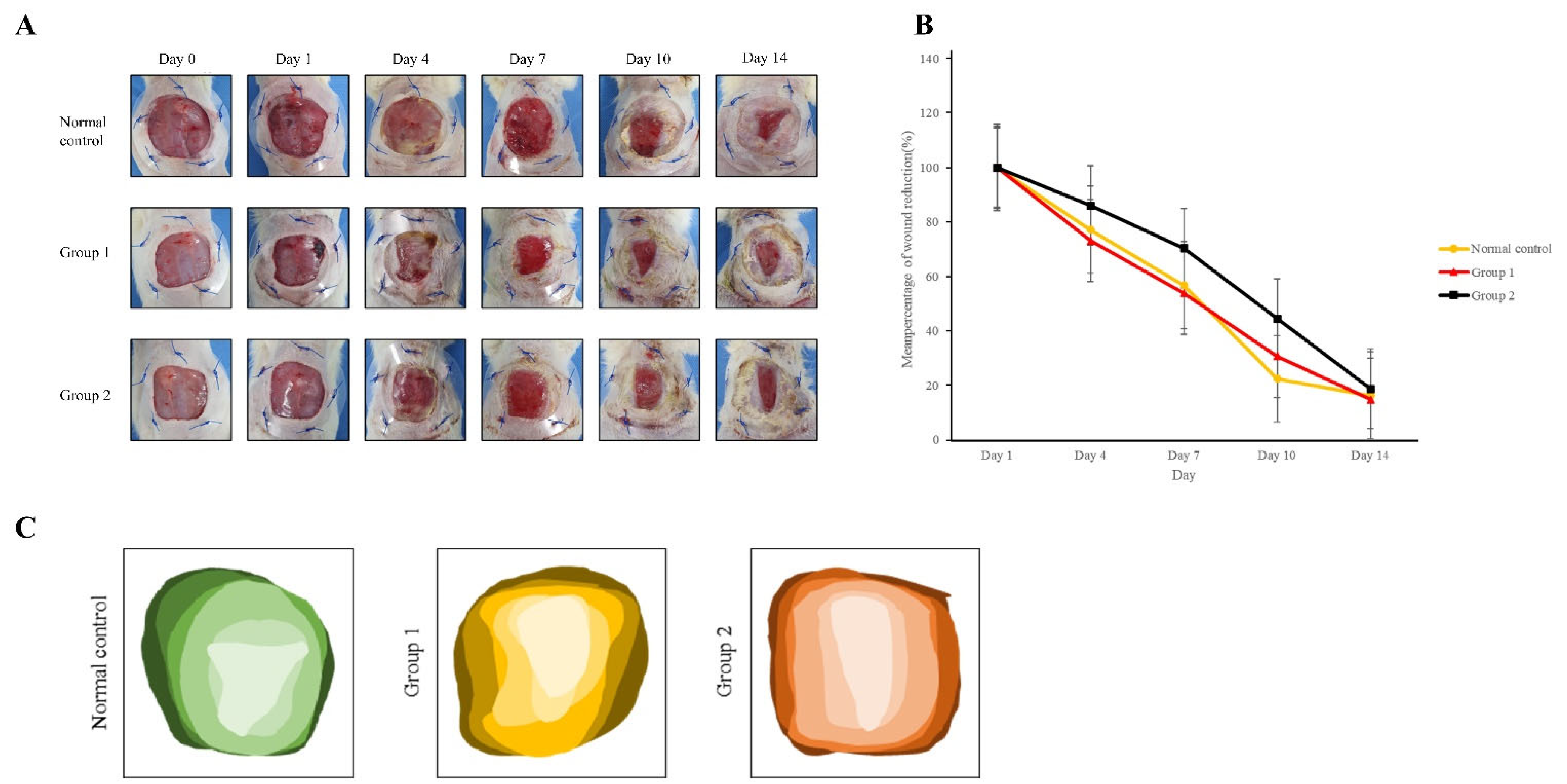Medicina 59 01155 g006 Medicina 59 01155 g006