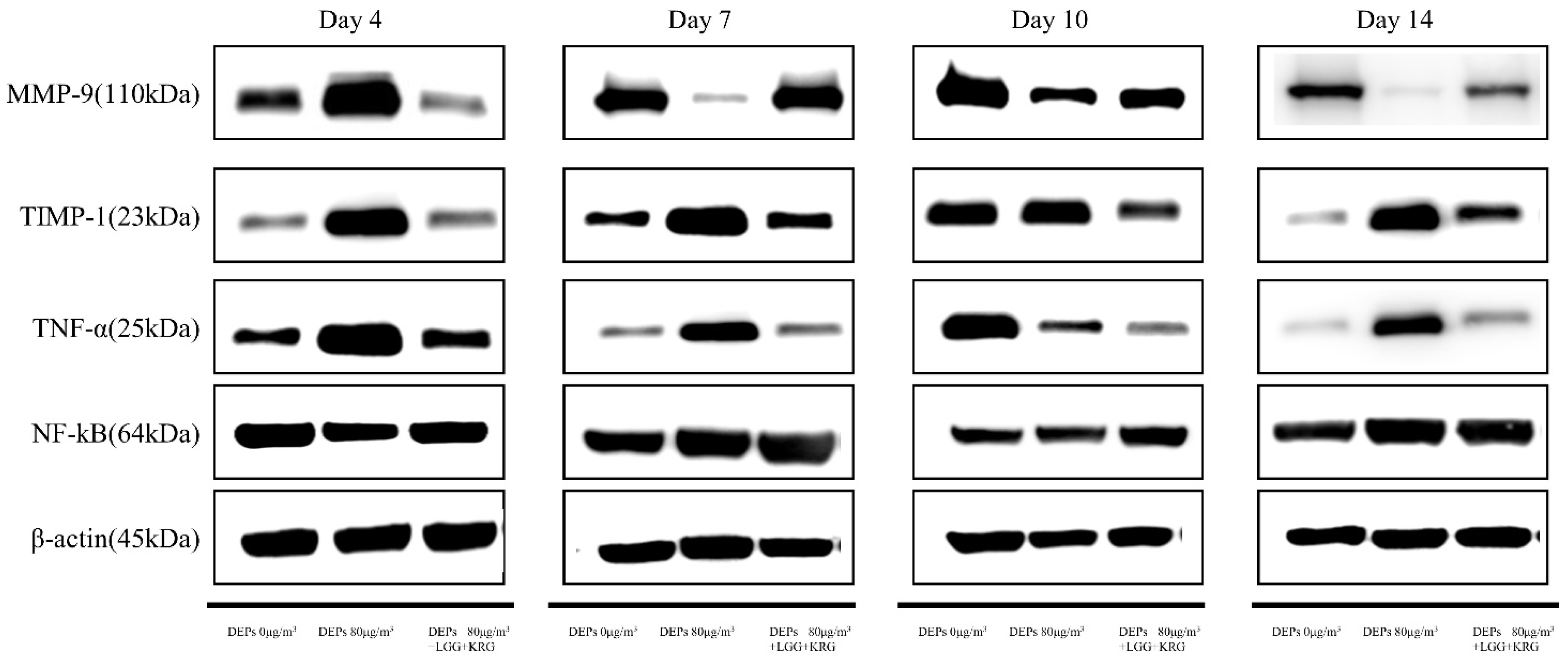 Medicina 59 01155 g007 Medicina 59 01155 g007