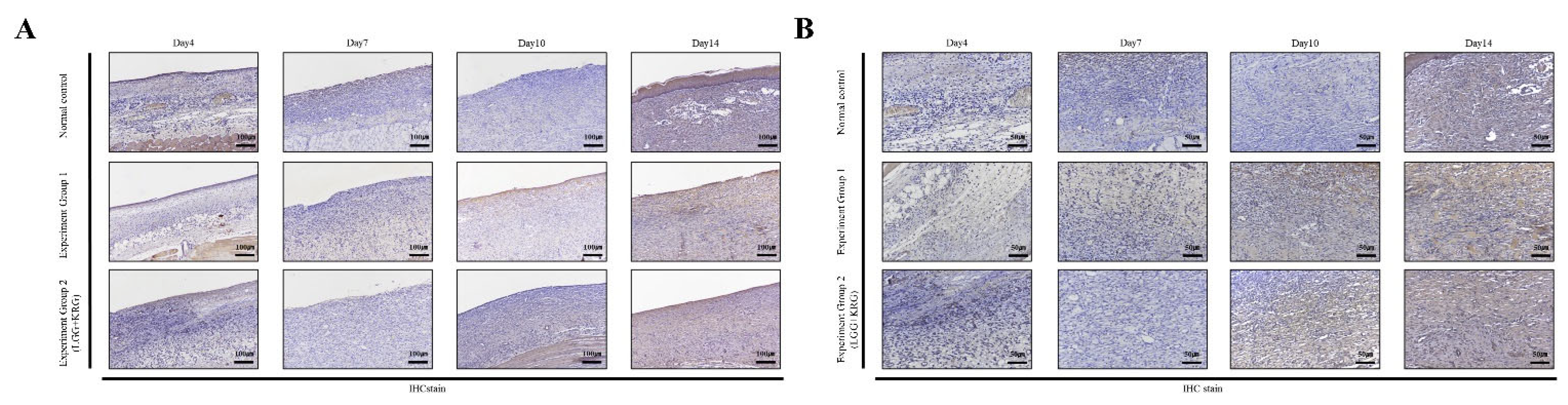 Medicina 59 01155 g014 Medicina 59 01155 g014
