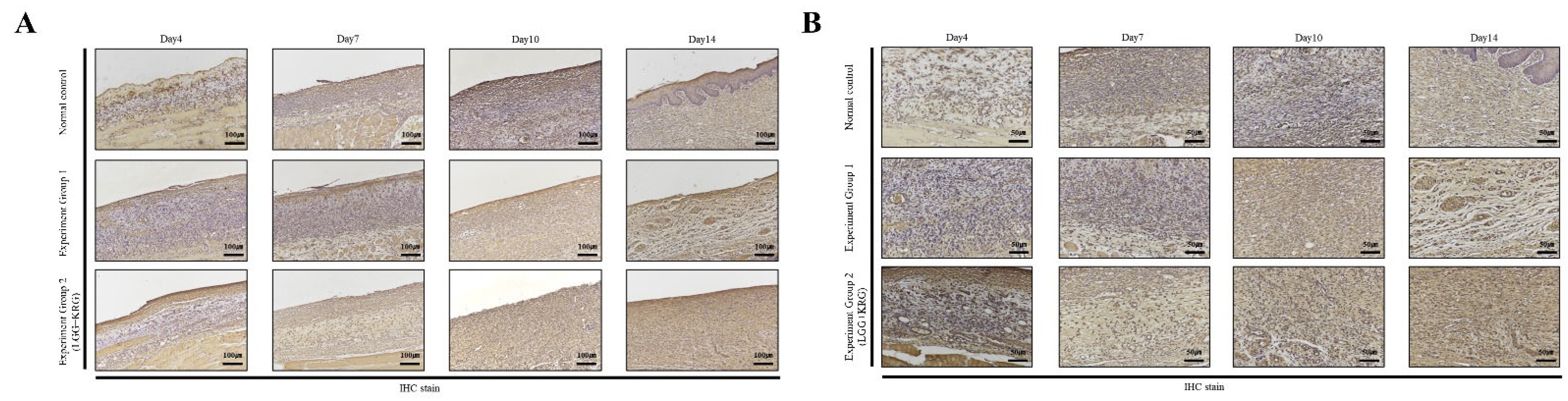 Medicina 59 01155 g015 Medicina 59 01155 g015