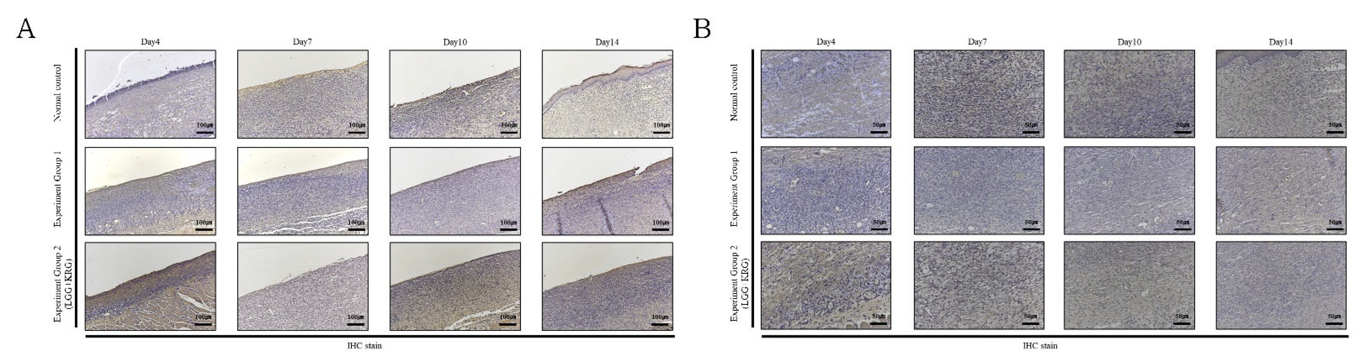 Medicina 59 01155 g016 Medicina 59 01155 g016