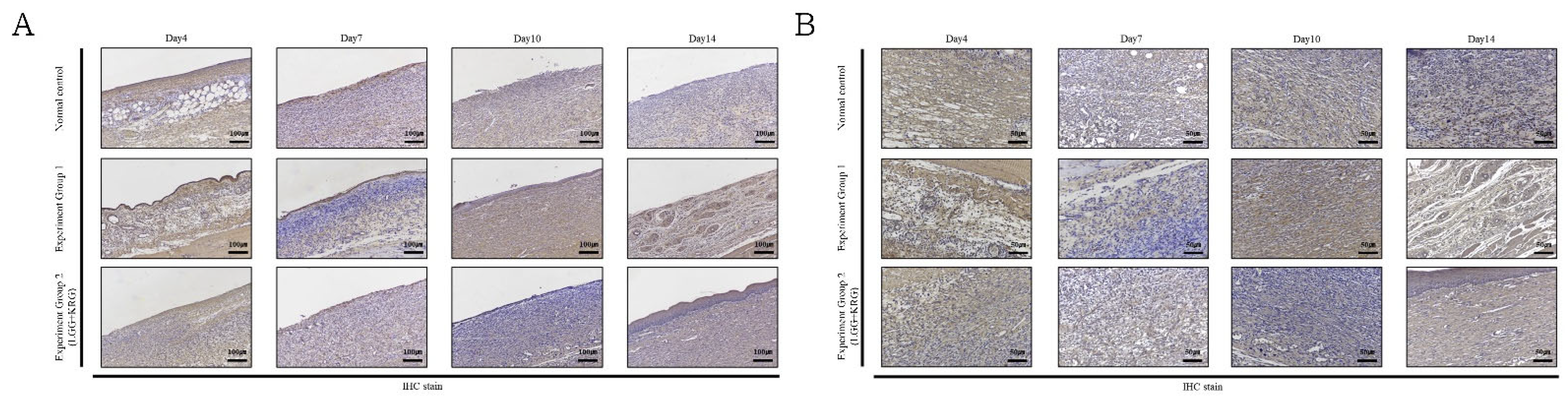 Medicina 59 01155 g017 Medicina 59 01155 g017