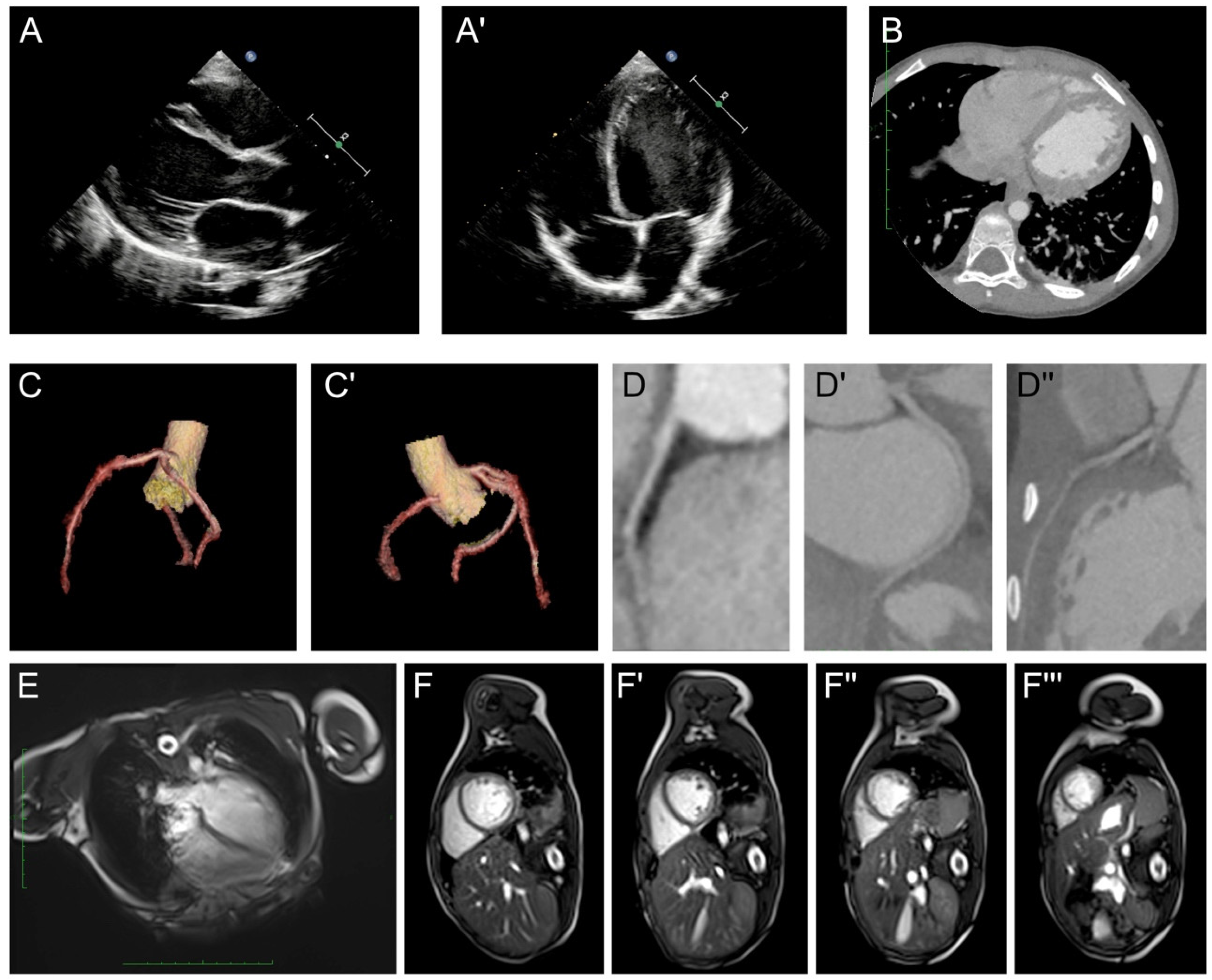 Medicina 59 01158 g002