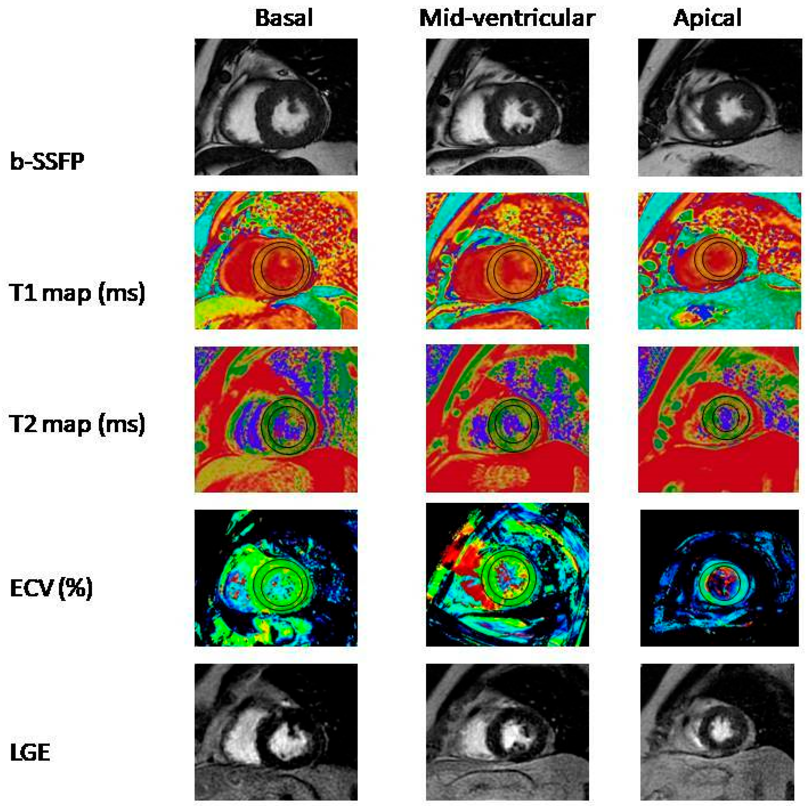 Medicina 59 01163 g001