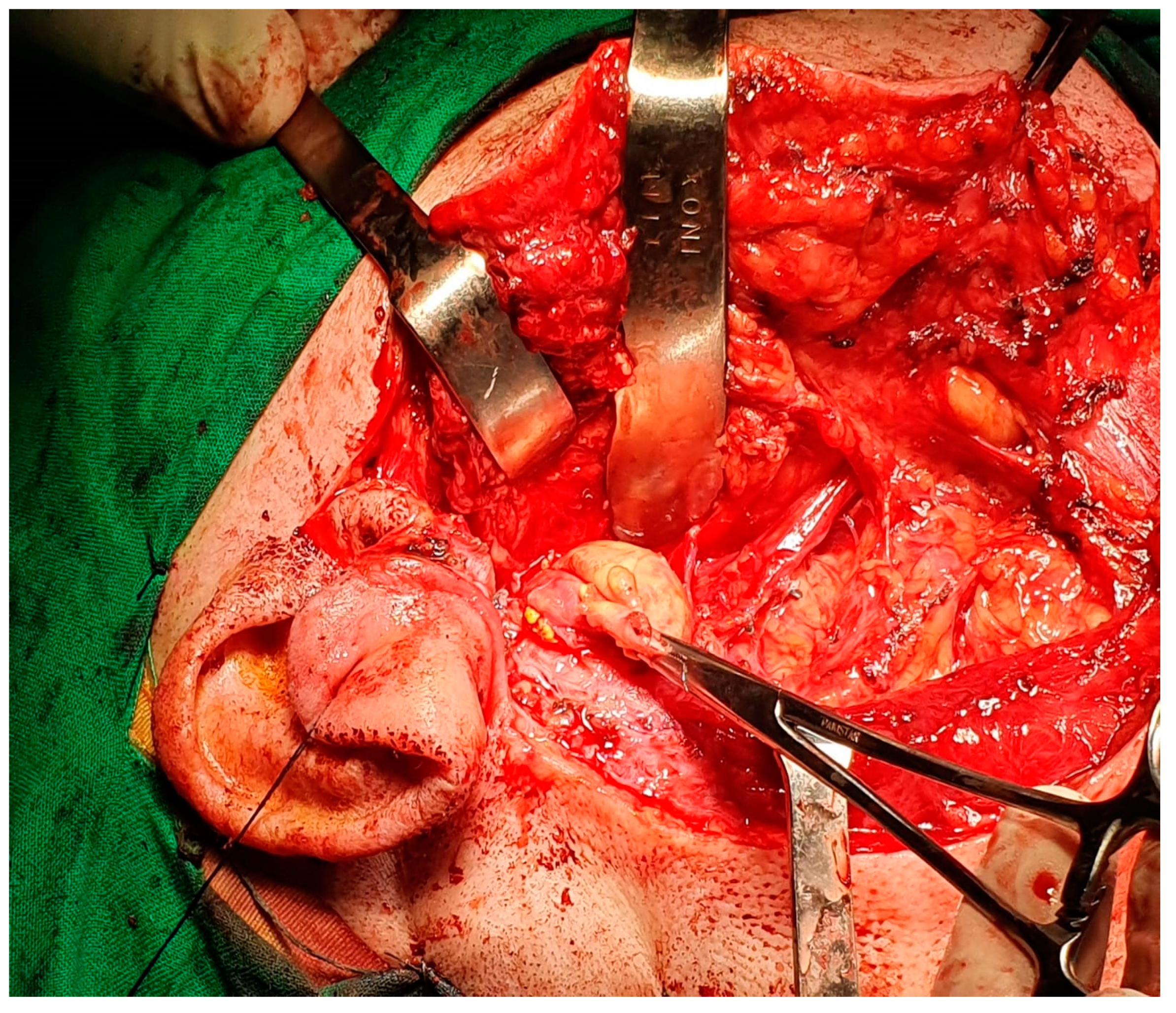 Medicina 59 01167 g021 Medicina 59 01167 g021