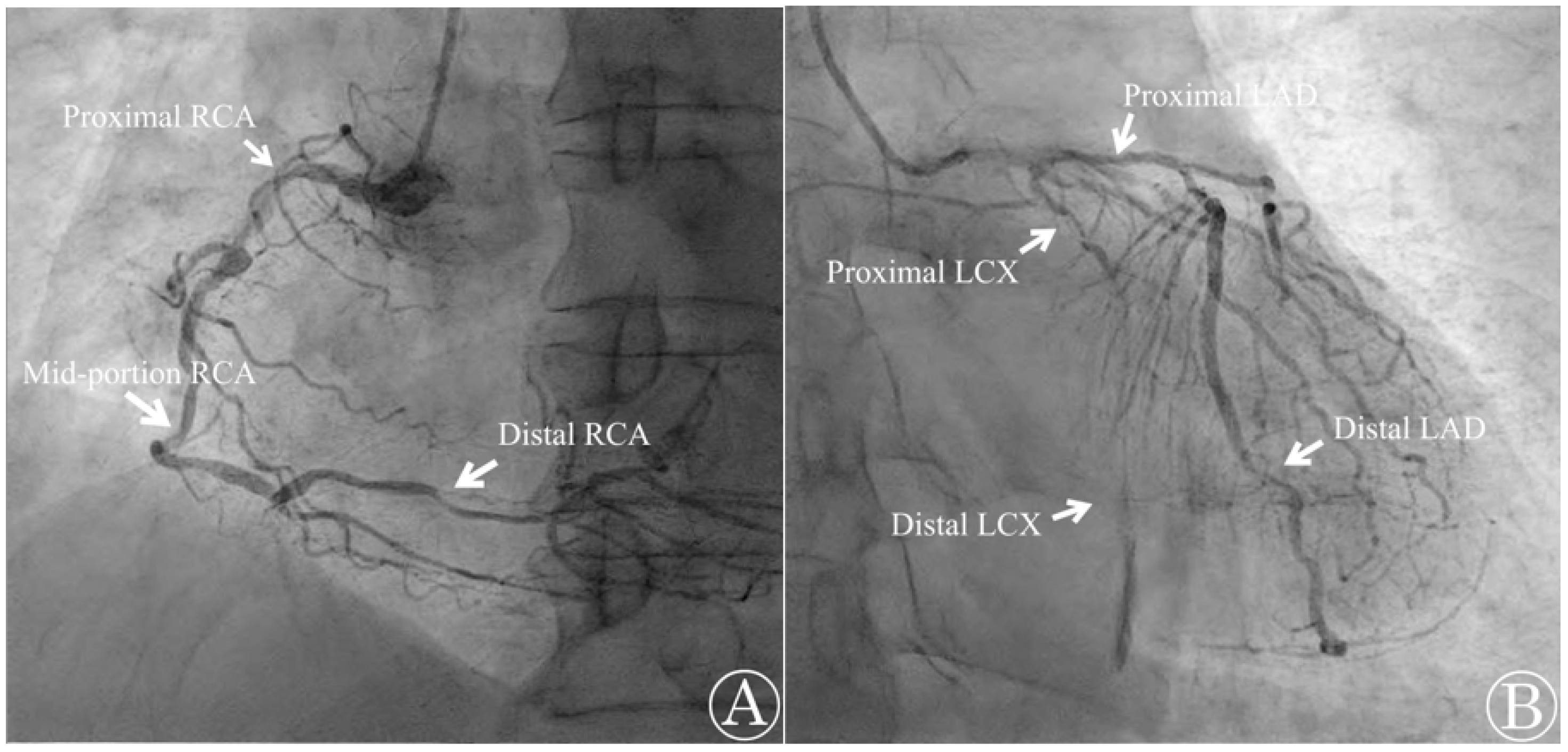 Medicina 59 01168 g004