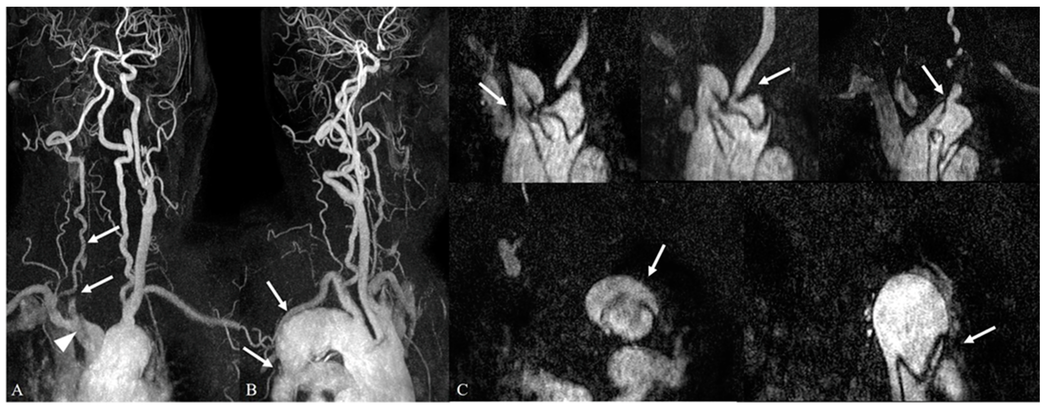 Medicina 59 01172 g005