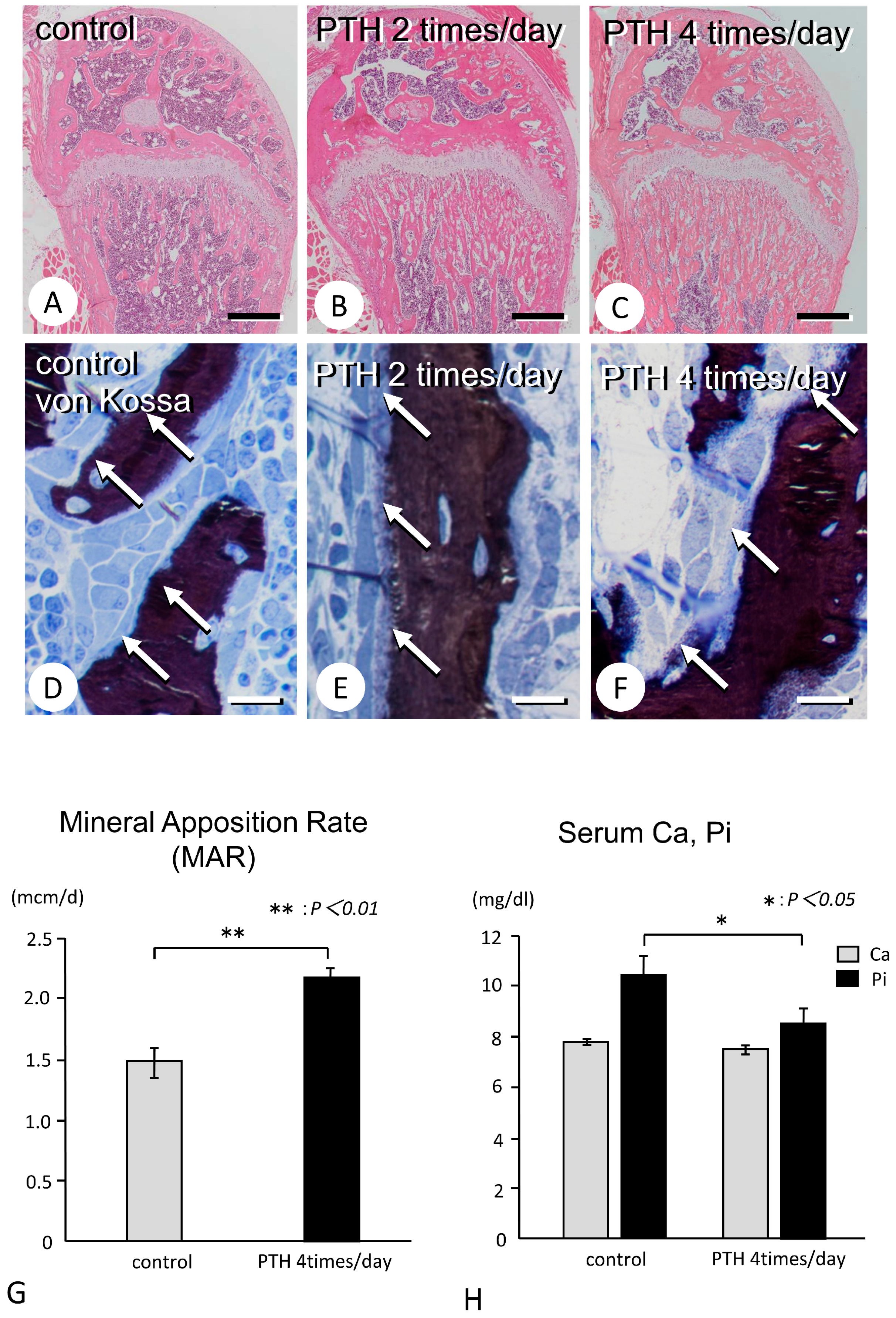 Medicina 59 01179 g001 Medicina 59 01179 g001