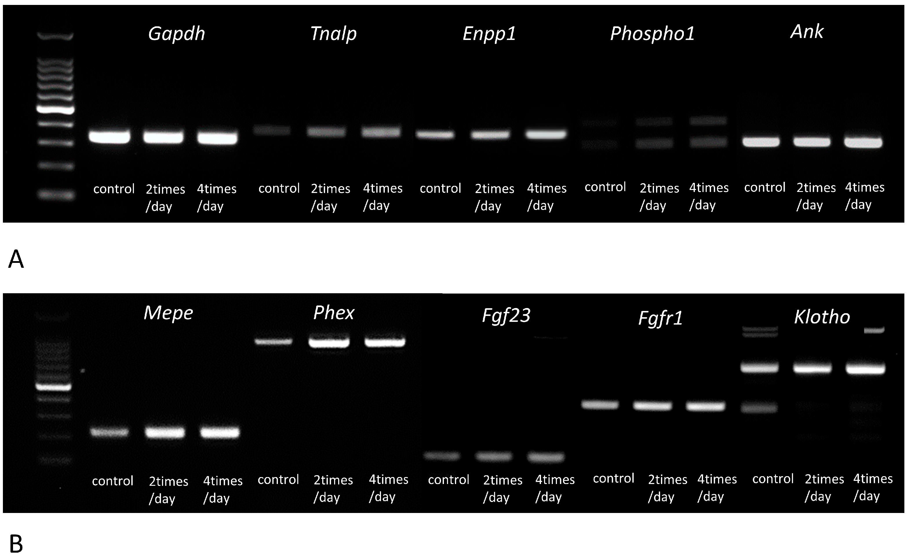 Medicina 59 01179 g006 Medicina 59 01179 g006