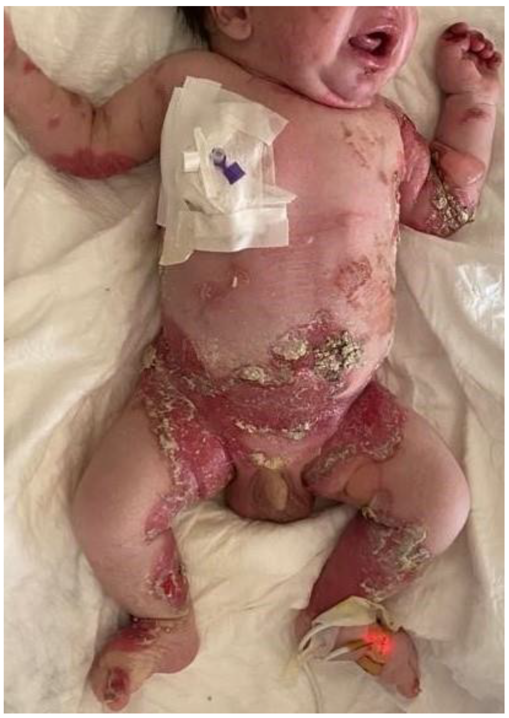 Medicina 59 01185 g001