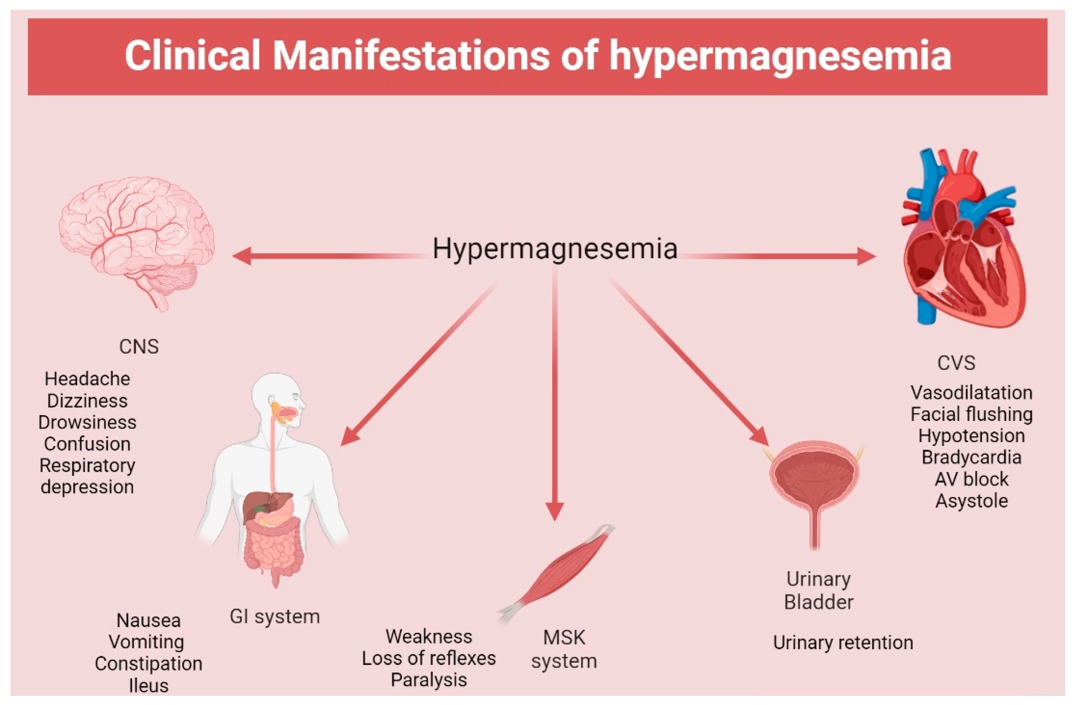 hypermagnesemia-ecg