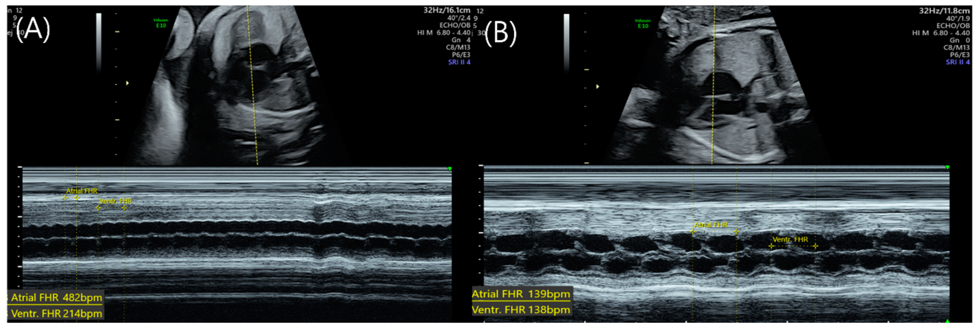 Medicina 59 01198 g001