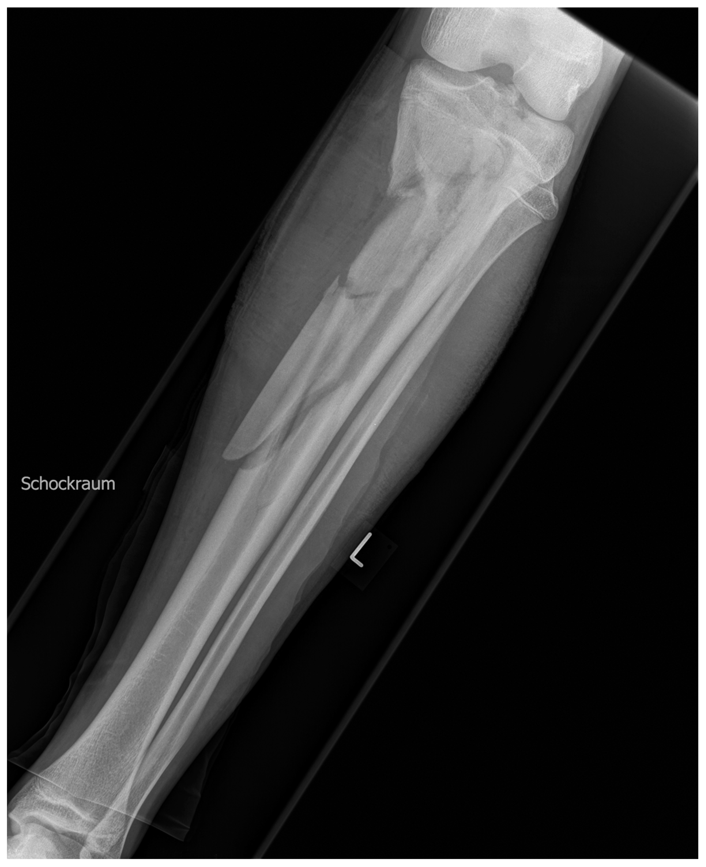 Medicina 59 01206 g001 Medicina 59 01206 g001