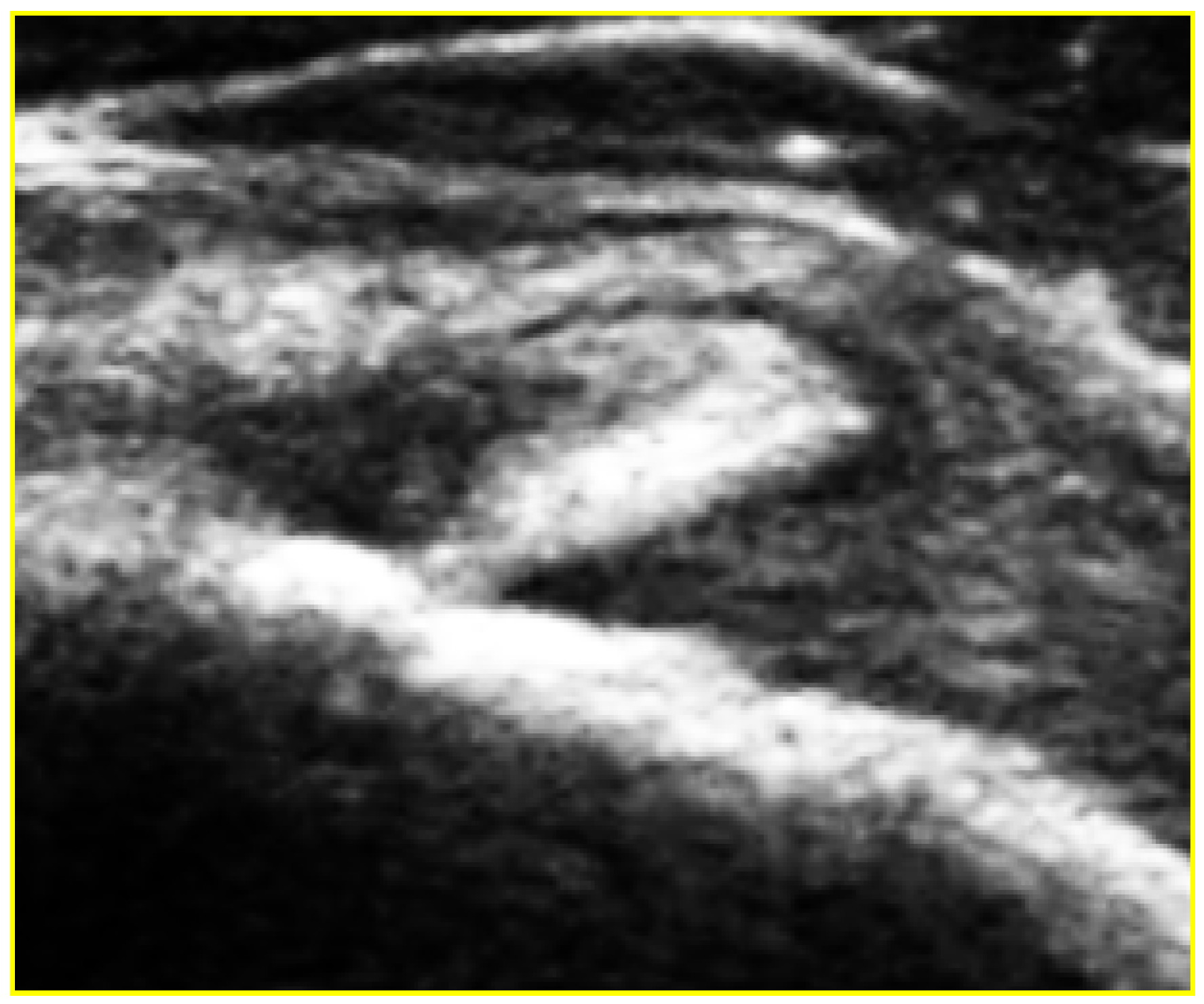 Medicina 59 01211 g002 Medicina 59 01211 g002