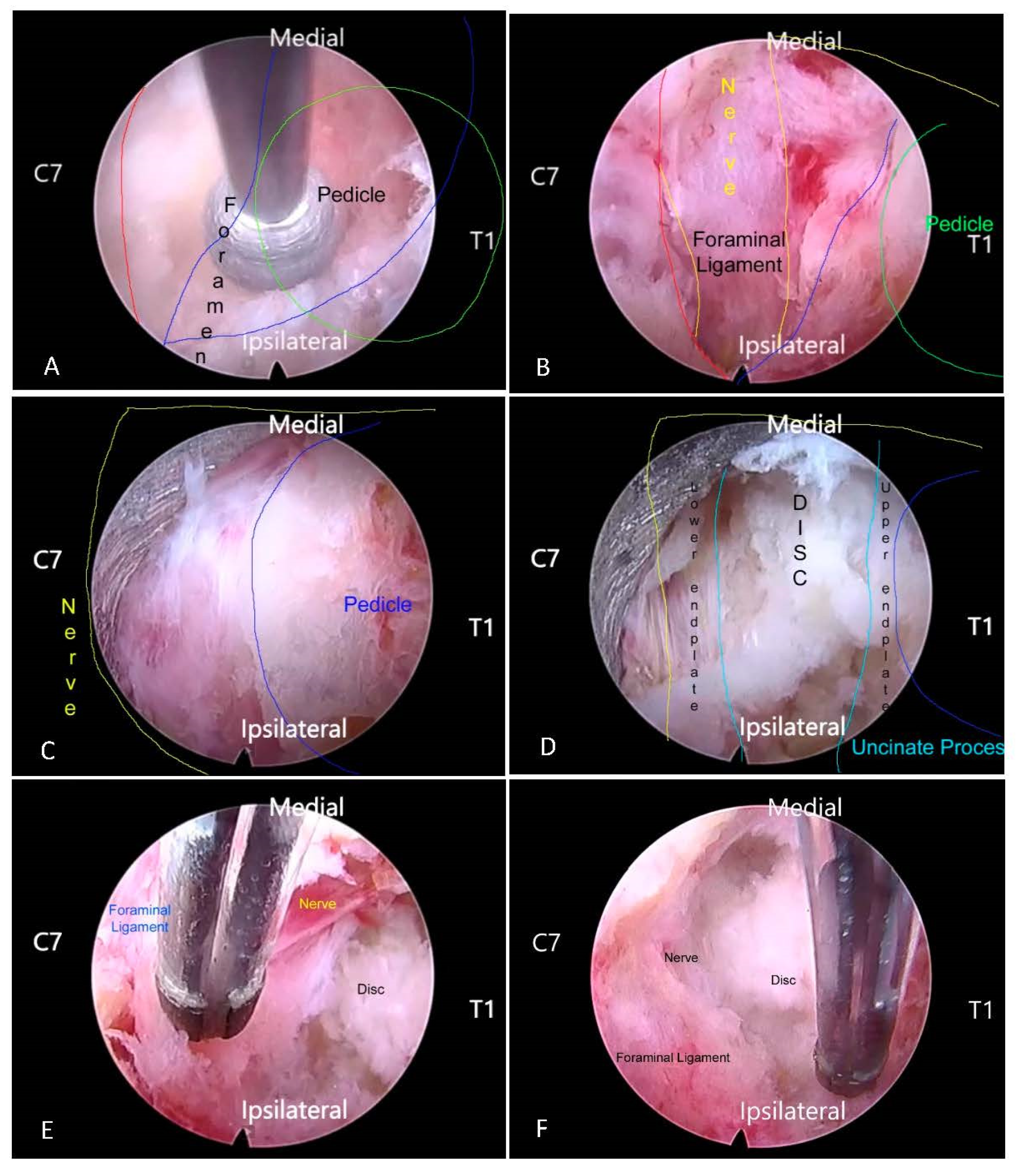 Medicina 59 01222 g001