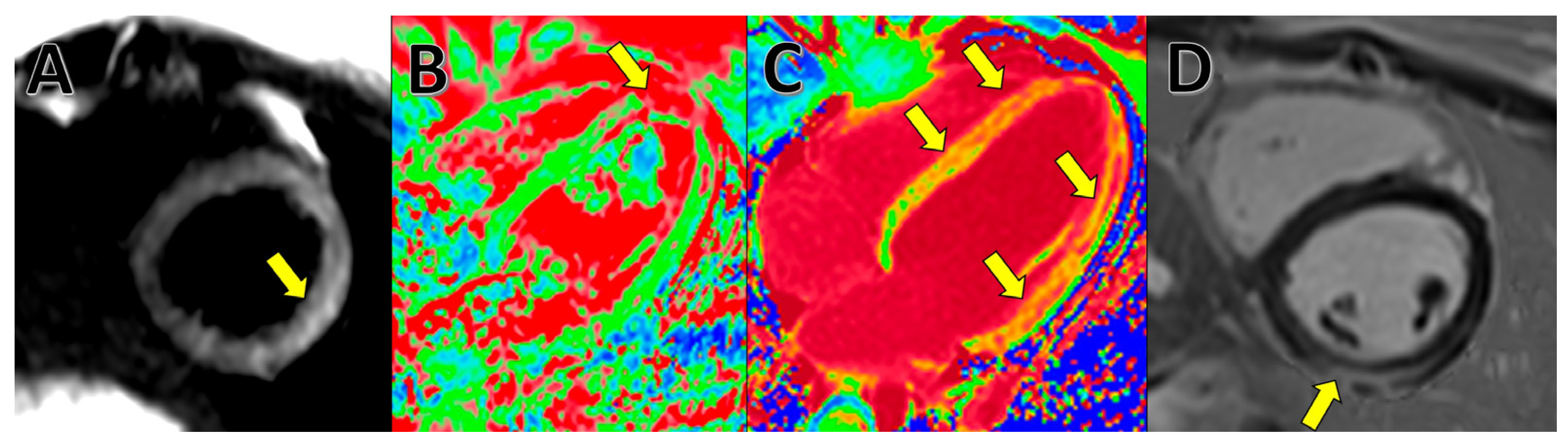 Medicina 59 01223 g003 Medicina 59 01223 g003