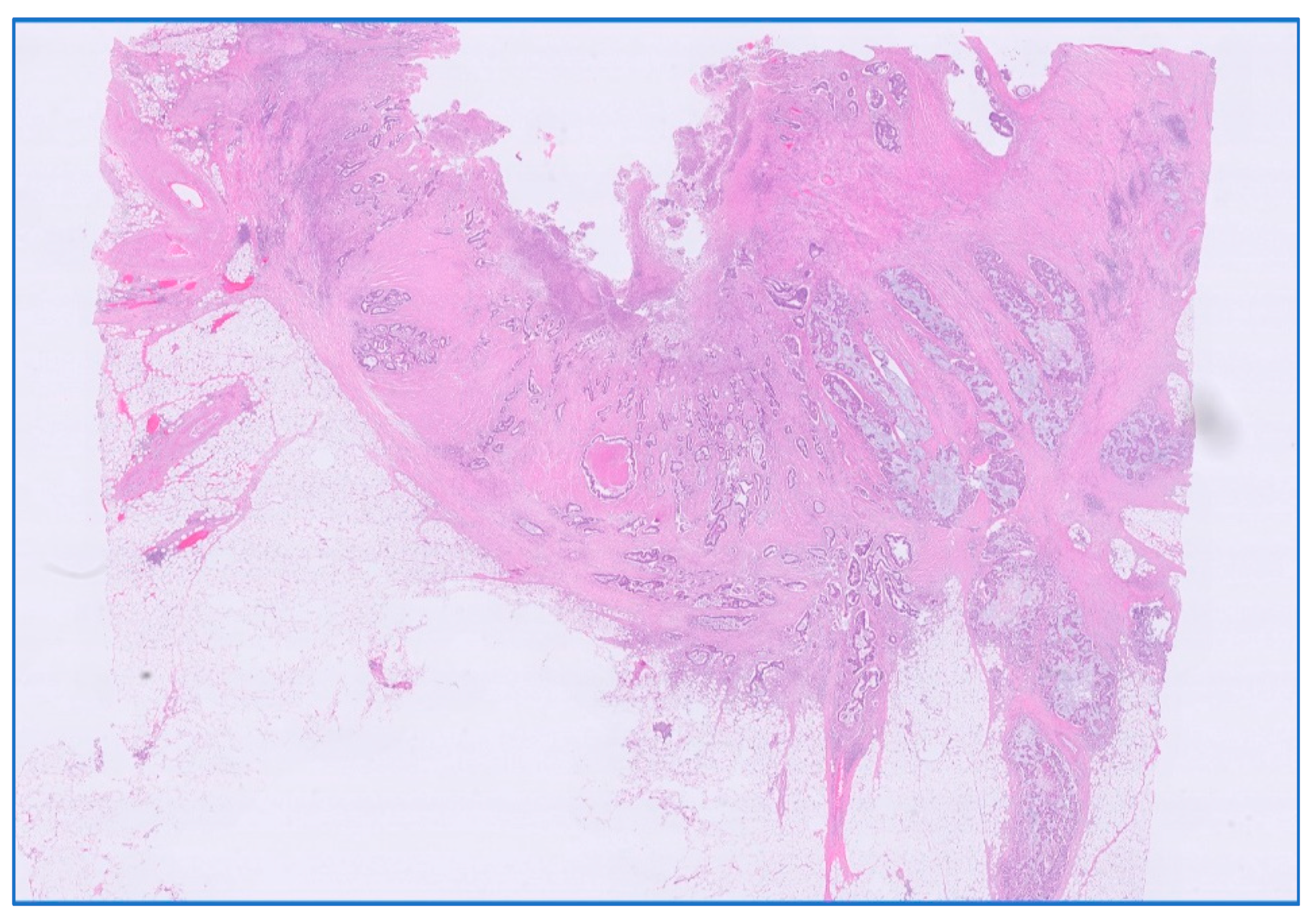 Medicina 59 01224 g006