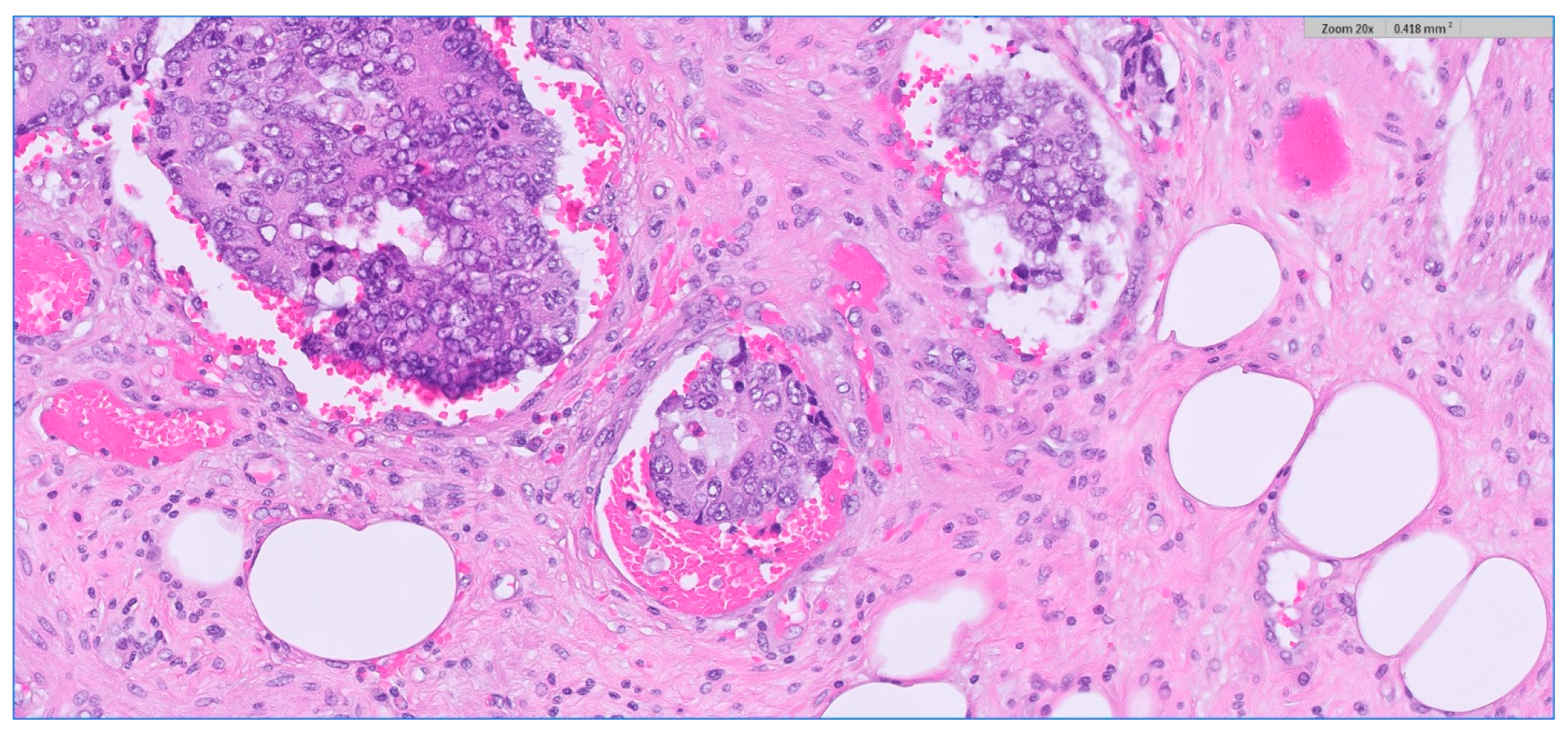 Medicina 59 01224 g007