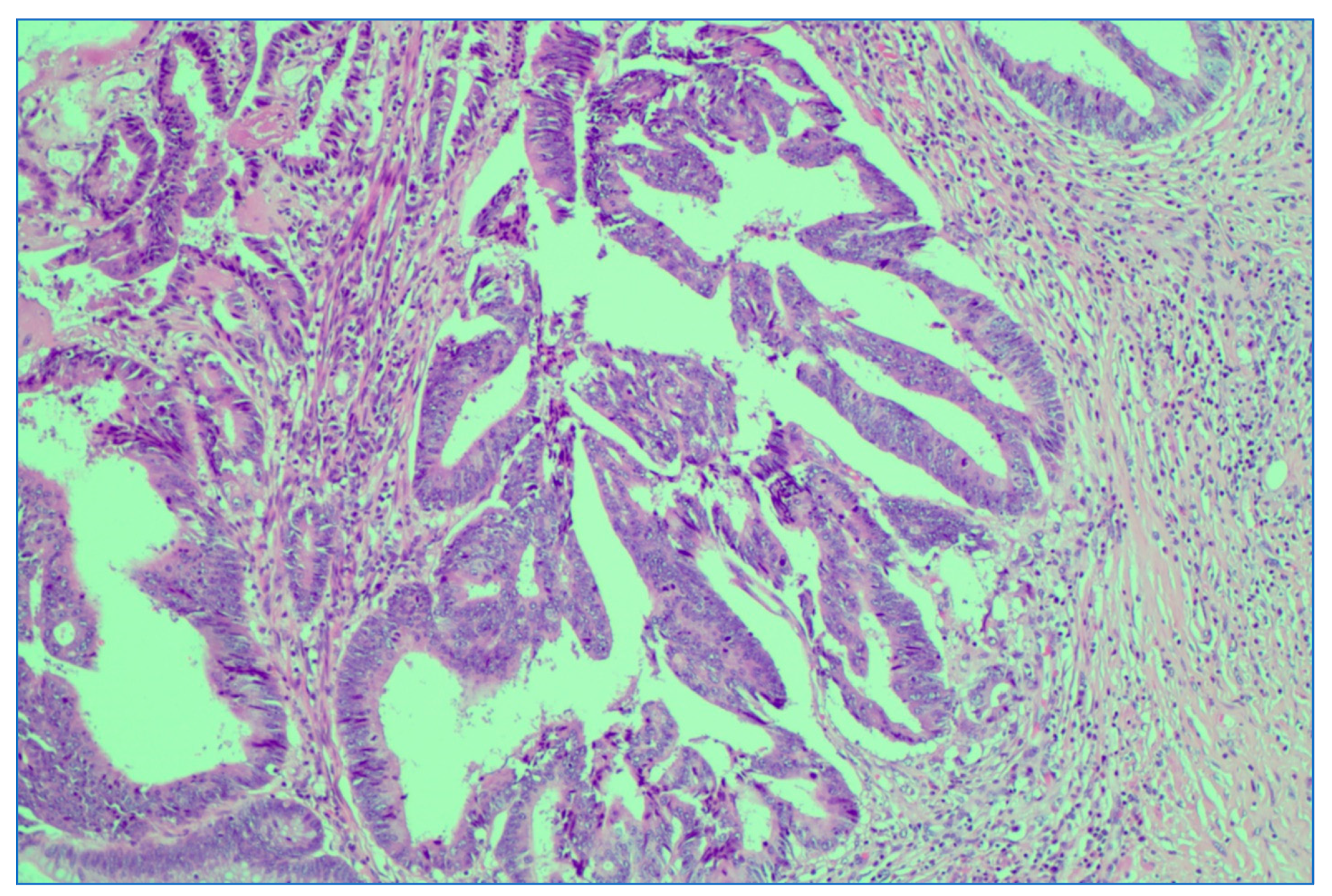 Medicina 59 01224 g010