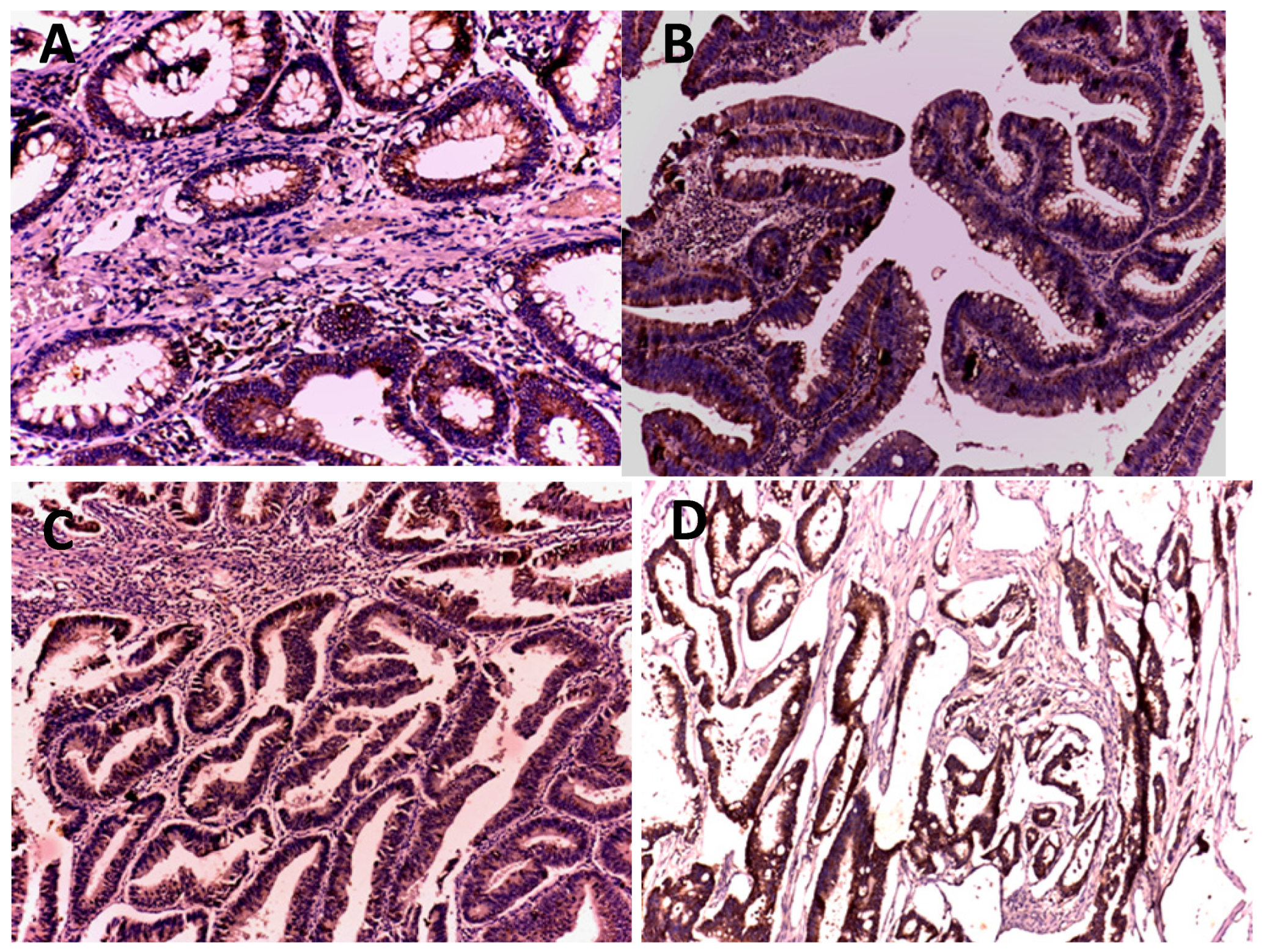 Medicina 59 01233 g001