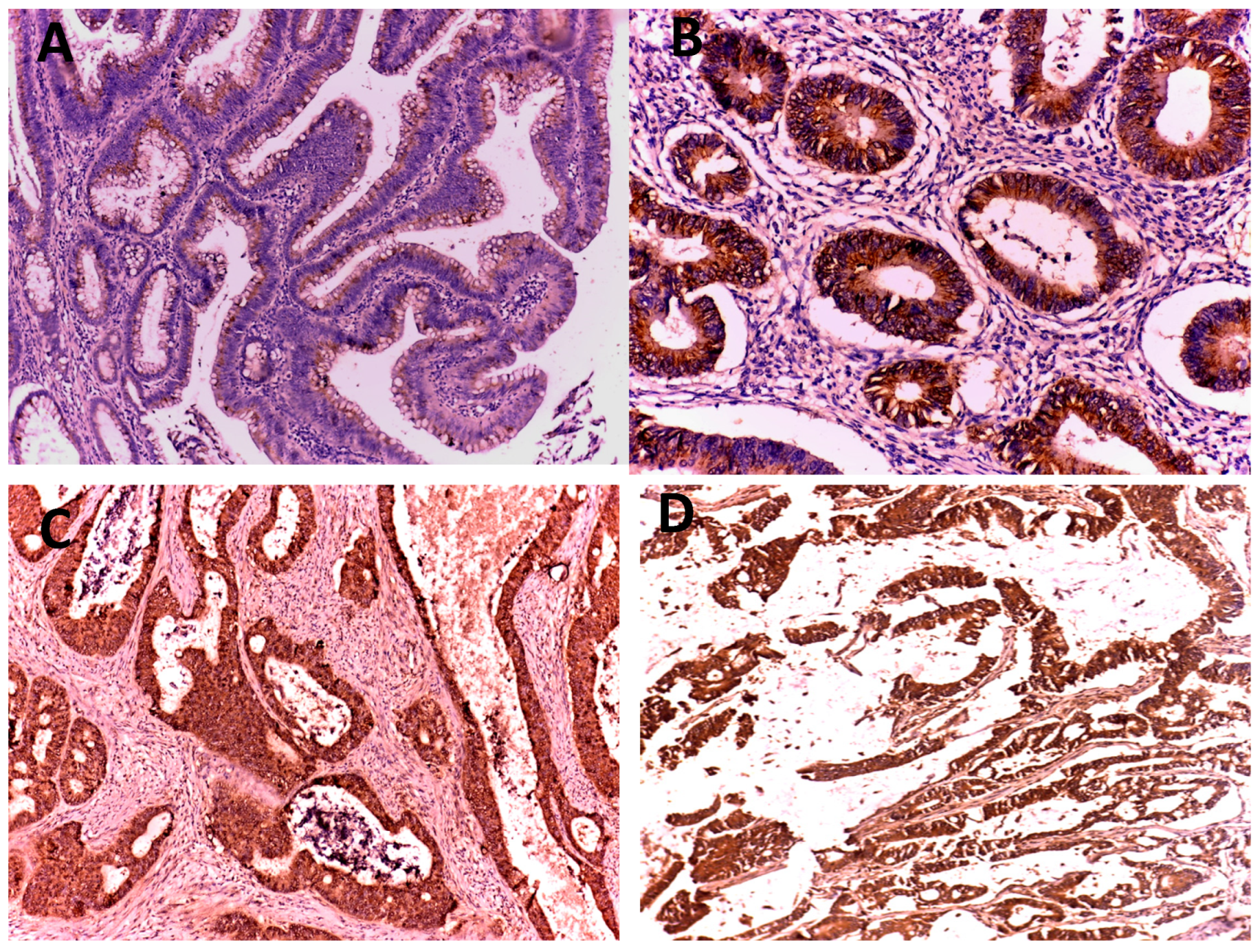 Medicina 59 01233 g002
