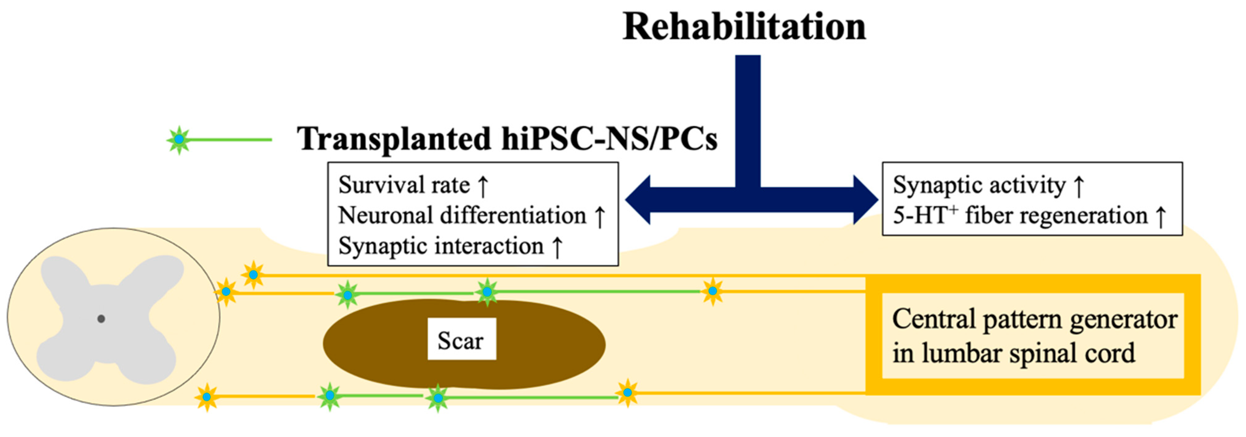 Medicina 59 01235 g001 Medicina 59 01235 g001