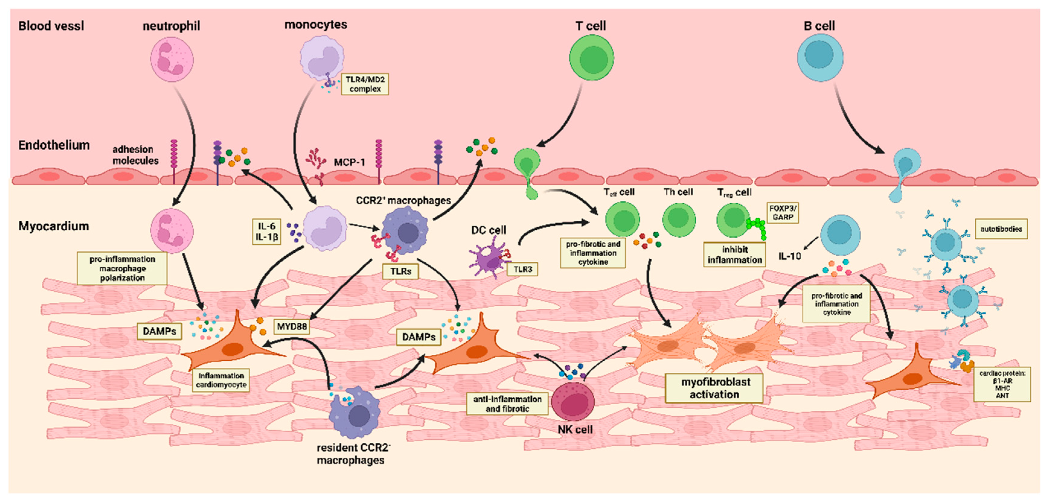 Medicina 59 01246 g002 Medicina 59 01246 g002