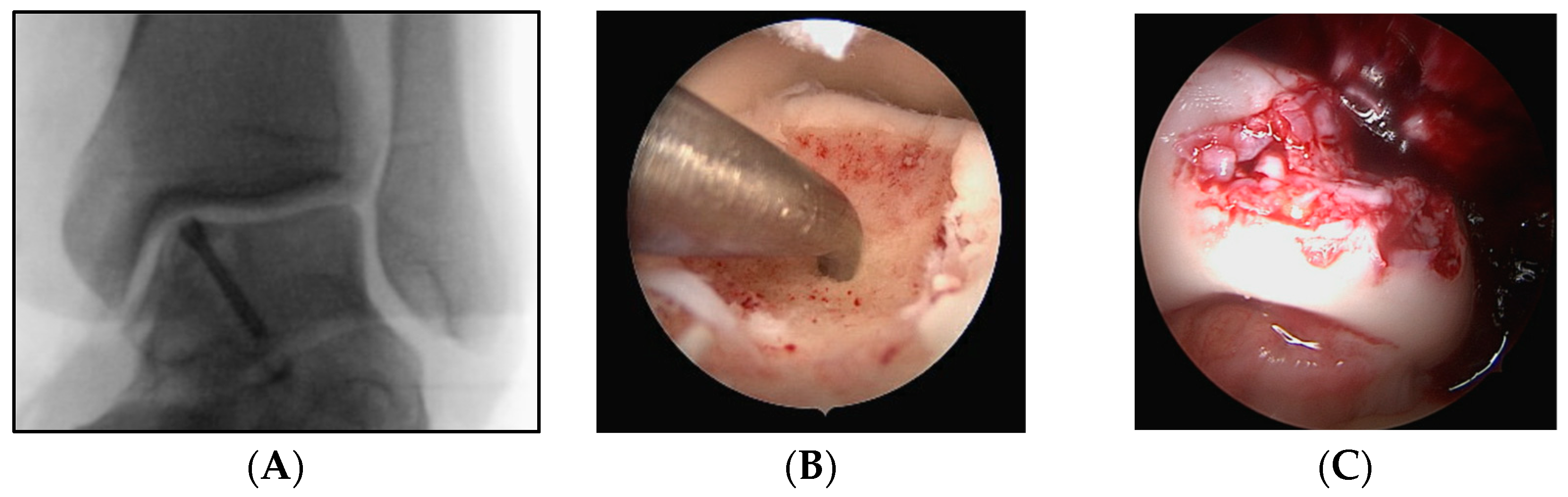 Medicina 59 01256 g001