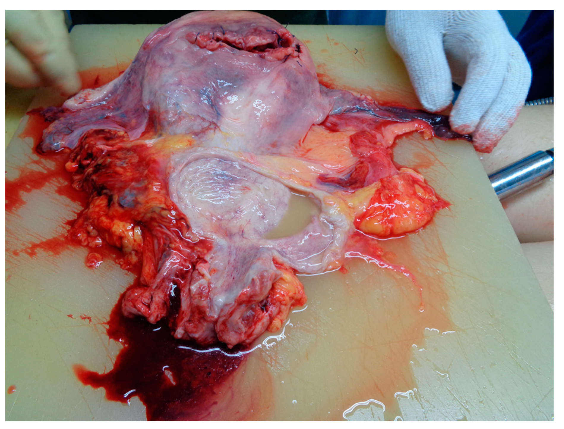 Medicina 59 01257 g001 Medicina 59 01257 g001