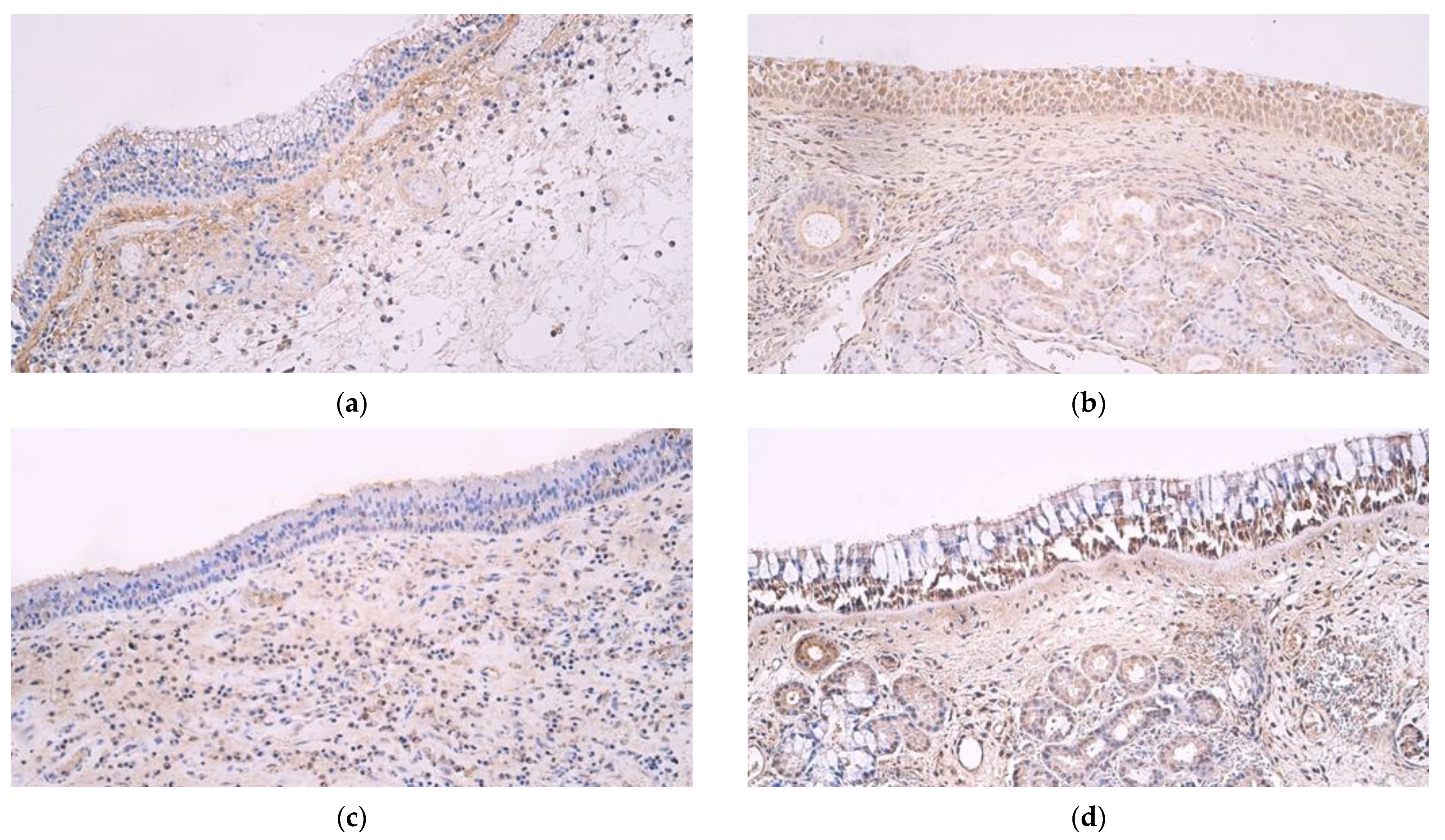 Medicina 59 01259 g001