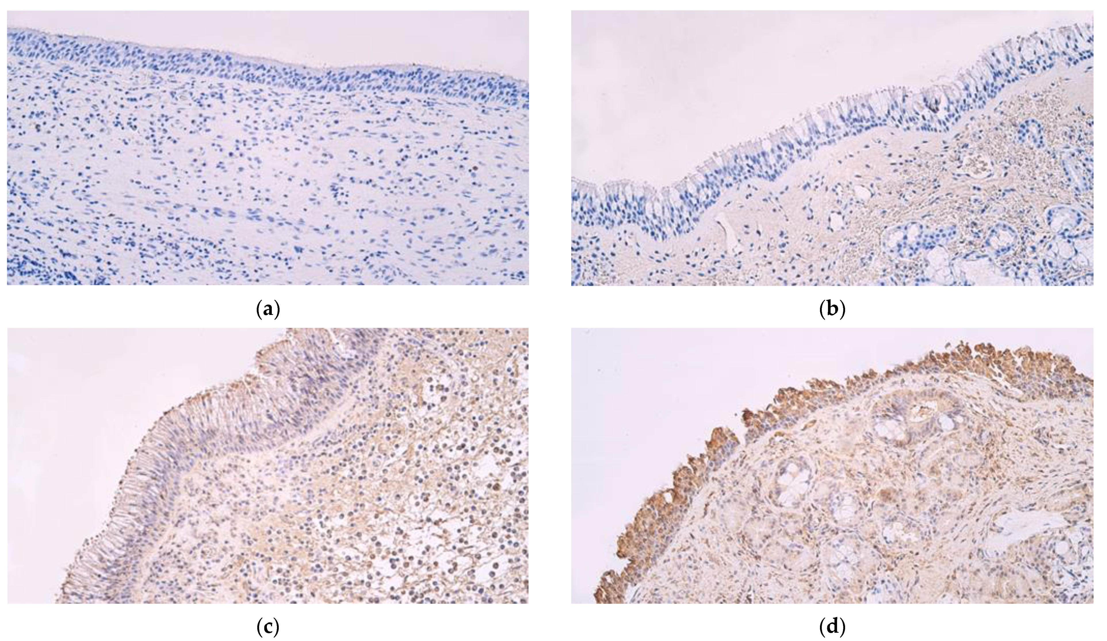 Medicina 59 01259 g002