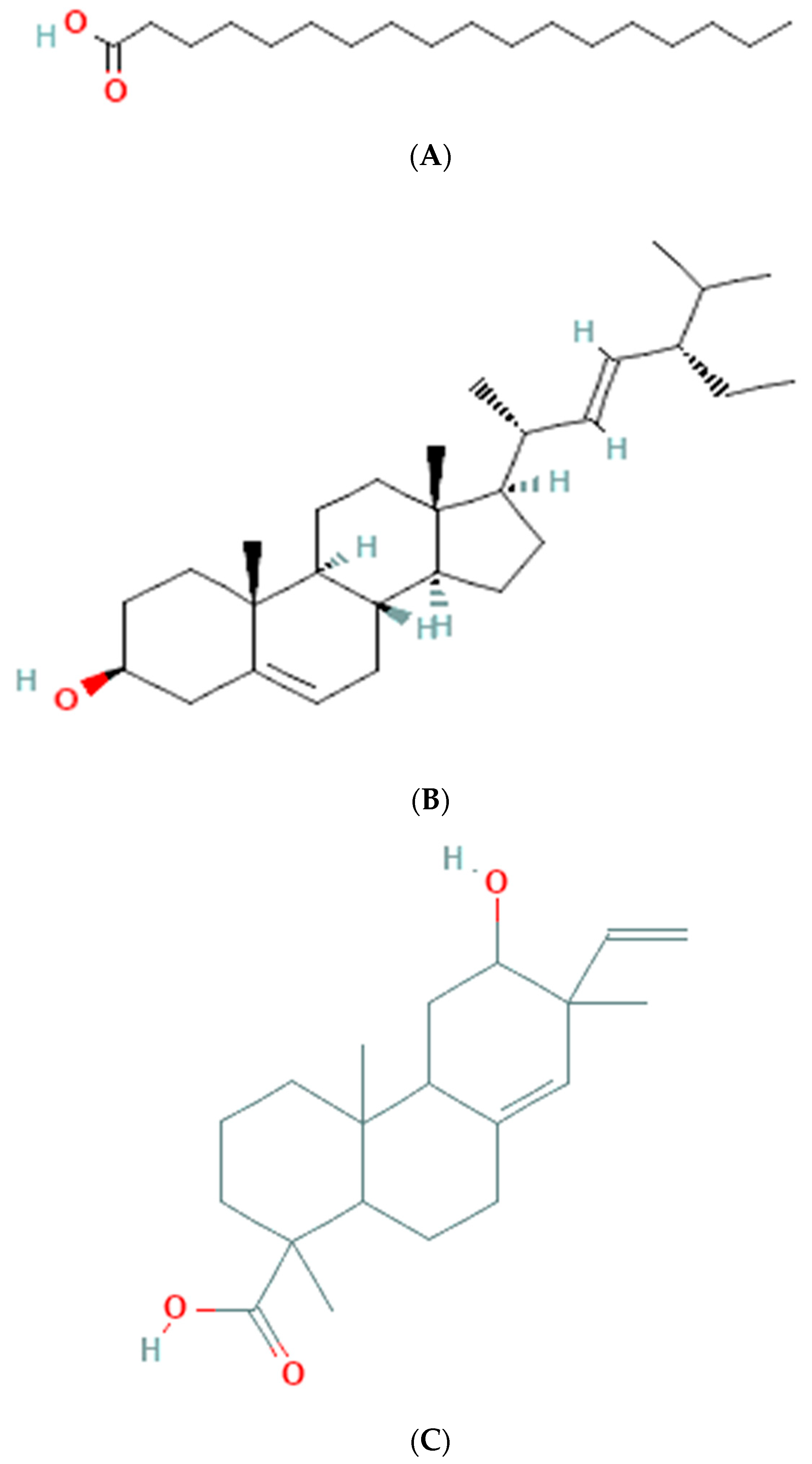 Medicina 59 01260 g003a Medicina 59 01260 g003a