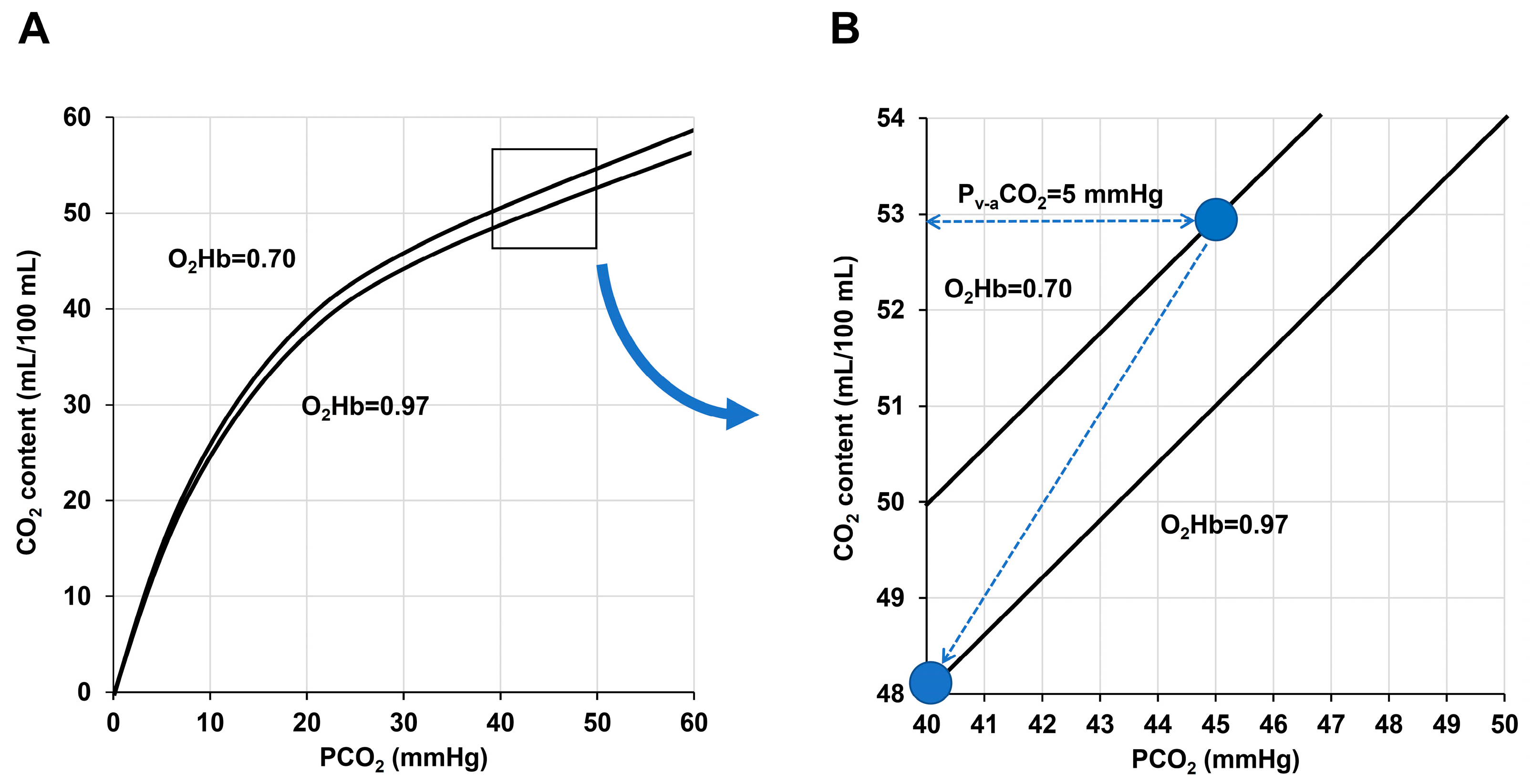 Medicina 59 01262 g001 Medicina 59 01262 g001